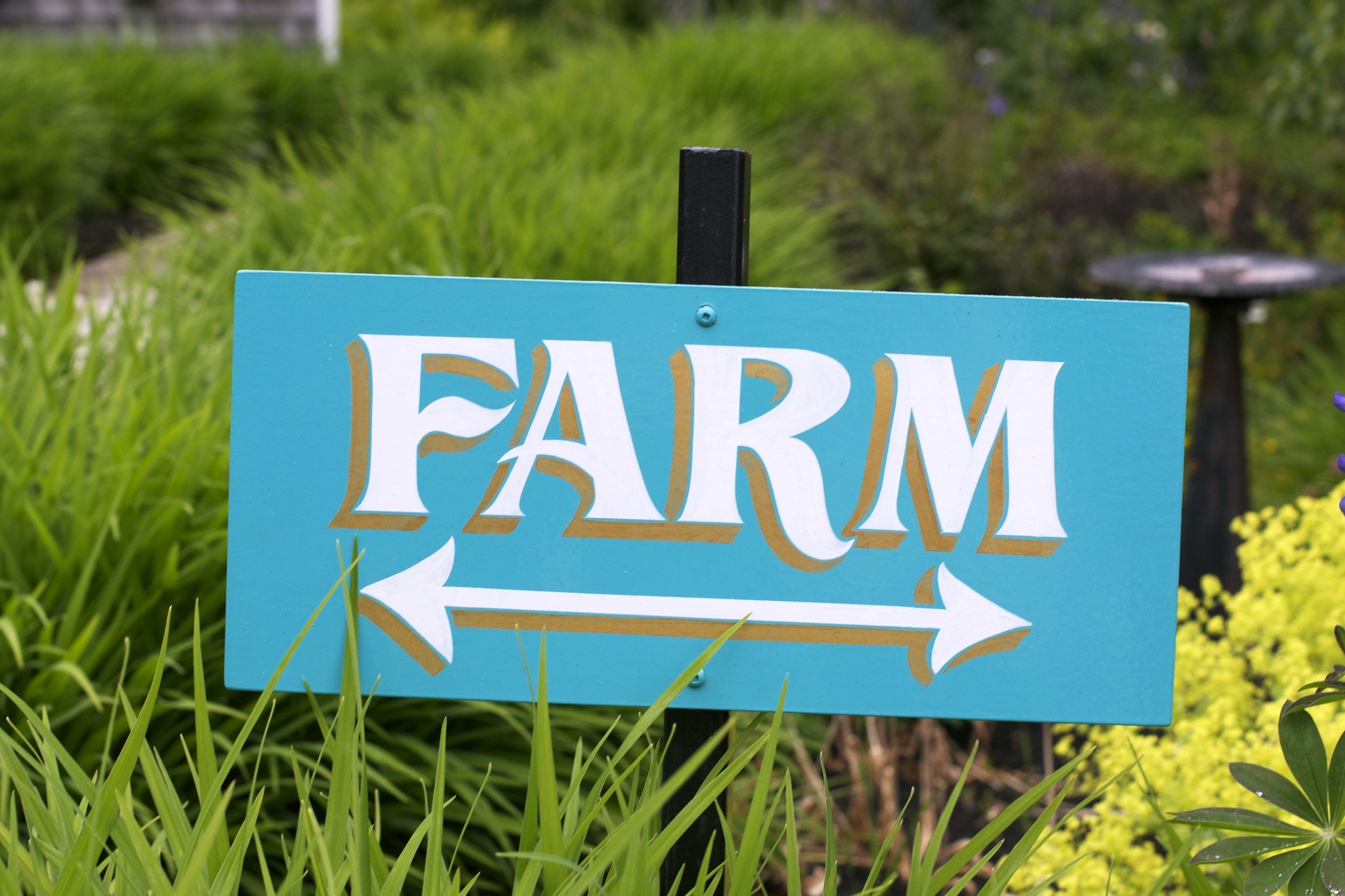 farm-sign.jpg