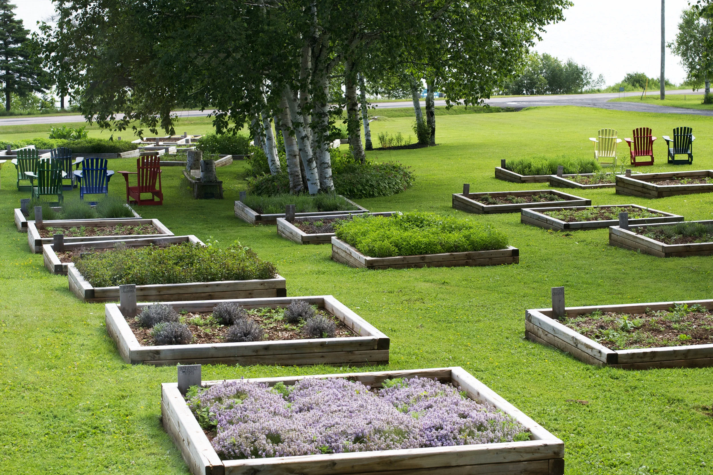 herb-garden-wide-view.jpg