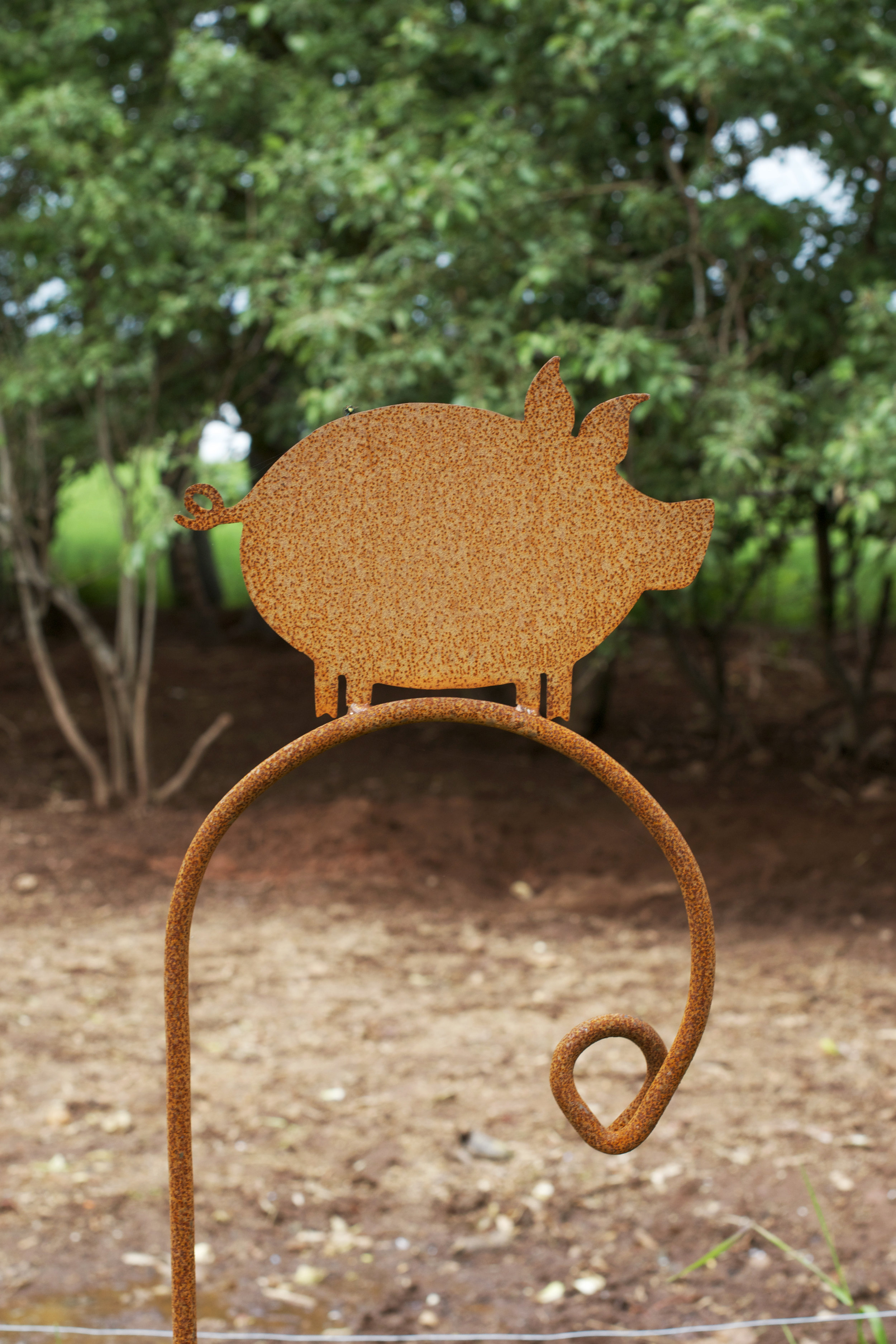 rusted-cute-pig-sign.jpg