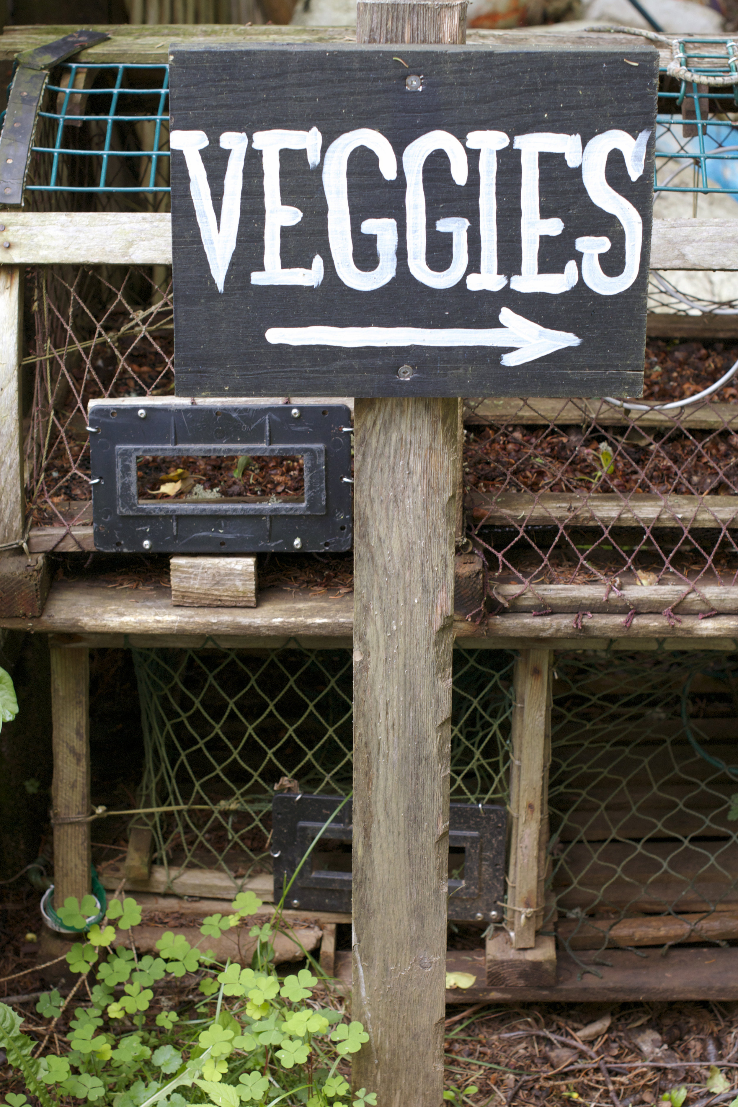 veggies-sign.jpg