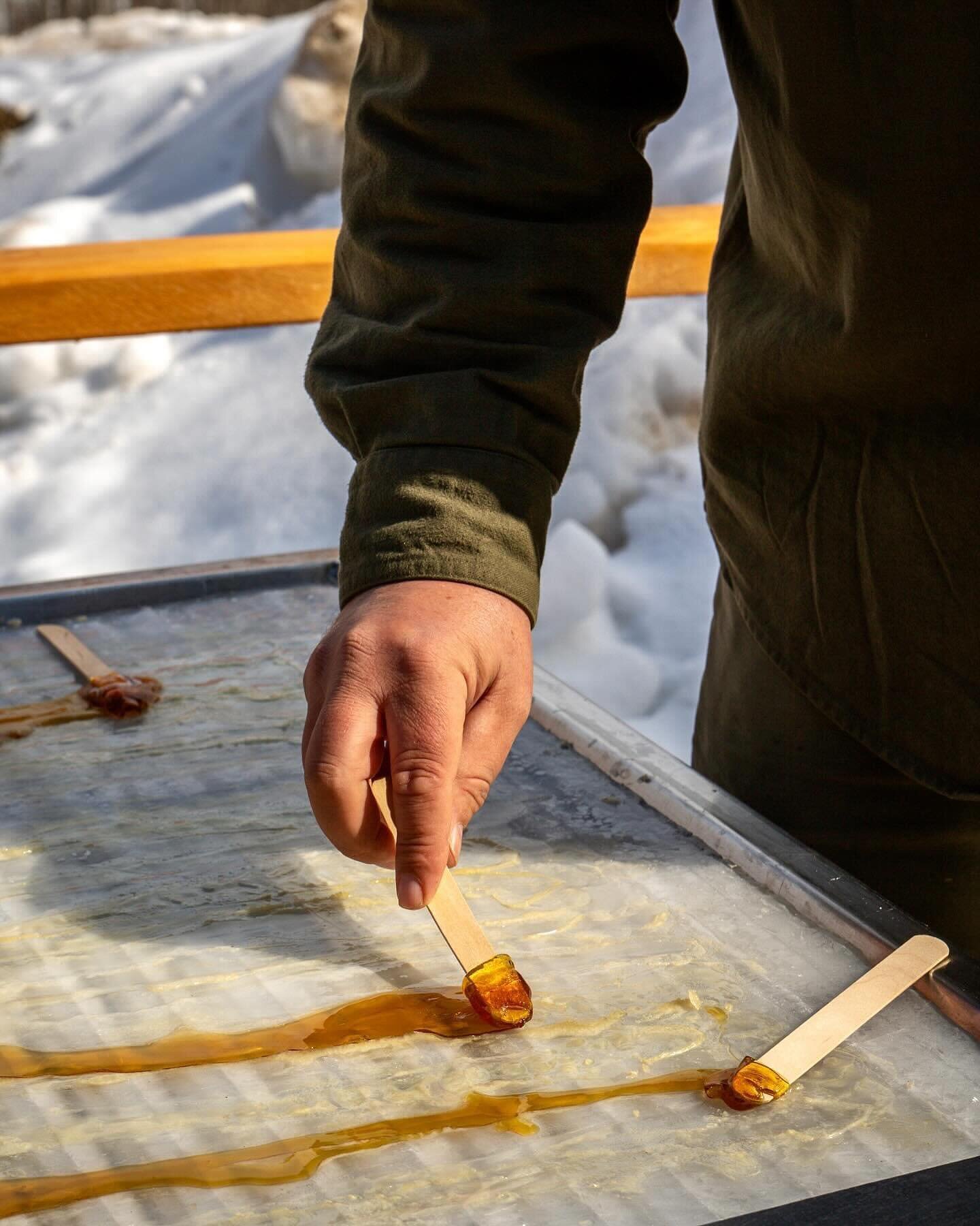 Maples lovers unite&hellip; it&rsquo;s time to make your annual pilgrimage to Dumfries Maples 🍁 for a sugarbush tour, a taste of sweet taffy, and a maple meal at their pancake 🥞 house. (See link in Bio) #maritimesmaven #exploreNB #frederictoncapita