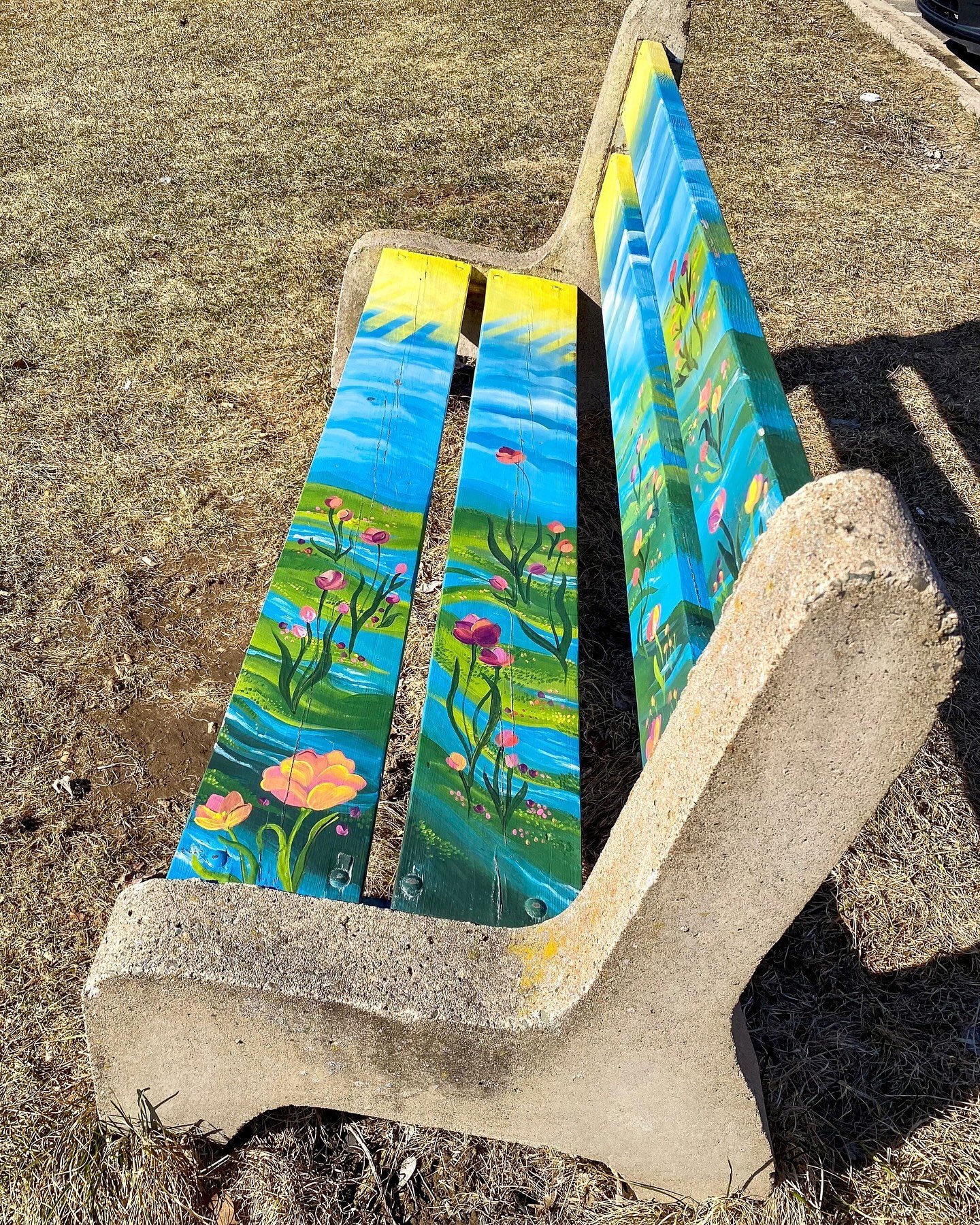 Love these Art in the Park Public Benches seen throughout Fredericton! These Nature from Diverse Cultures themed benches were created by newcomer artists from the Multicultural Association of Fredericton with support from the City. I discovered this 