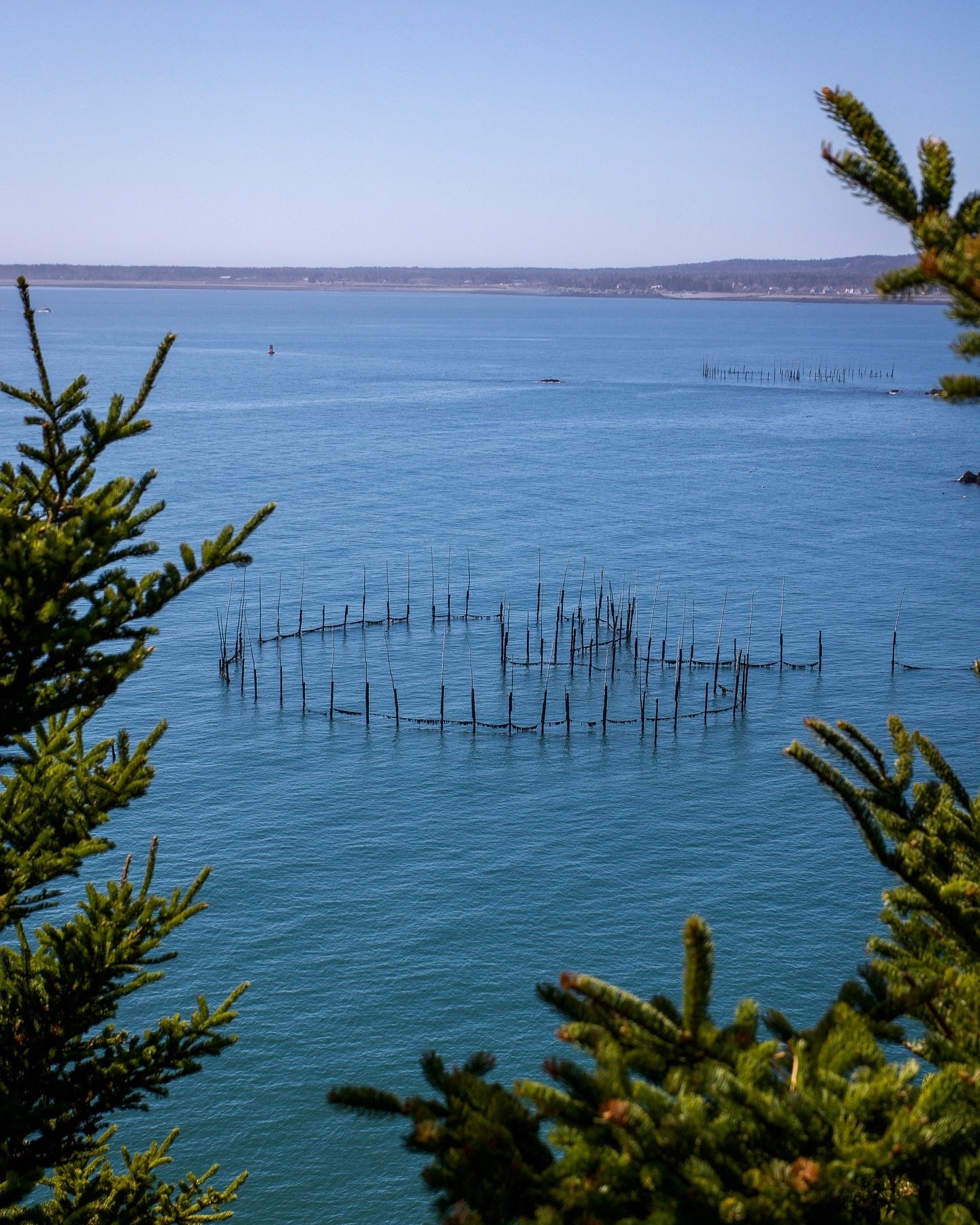 Reel in the sights &amp; get hooked on Grand Manan&rsquo;s unexpected delights! 🎣📸 #maritimesmaven