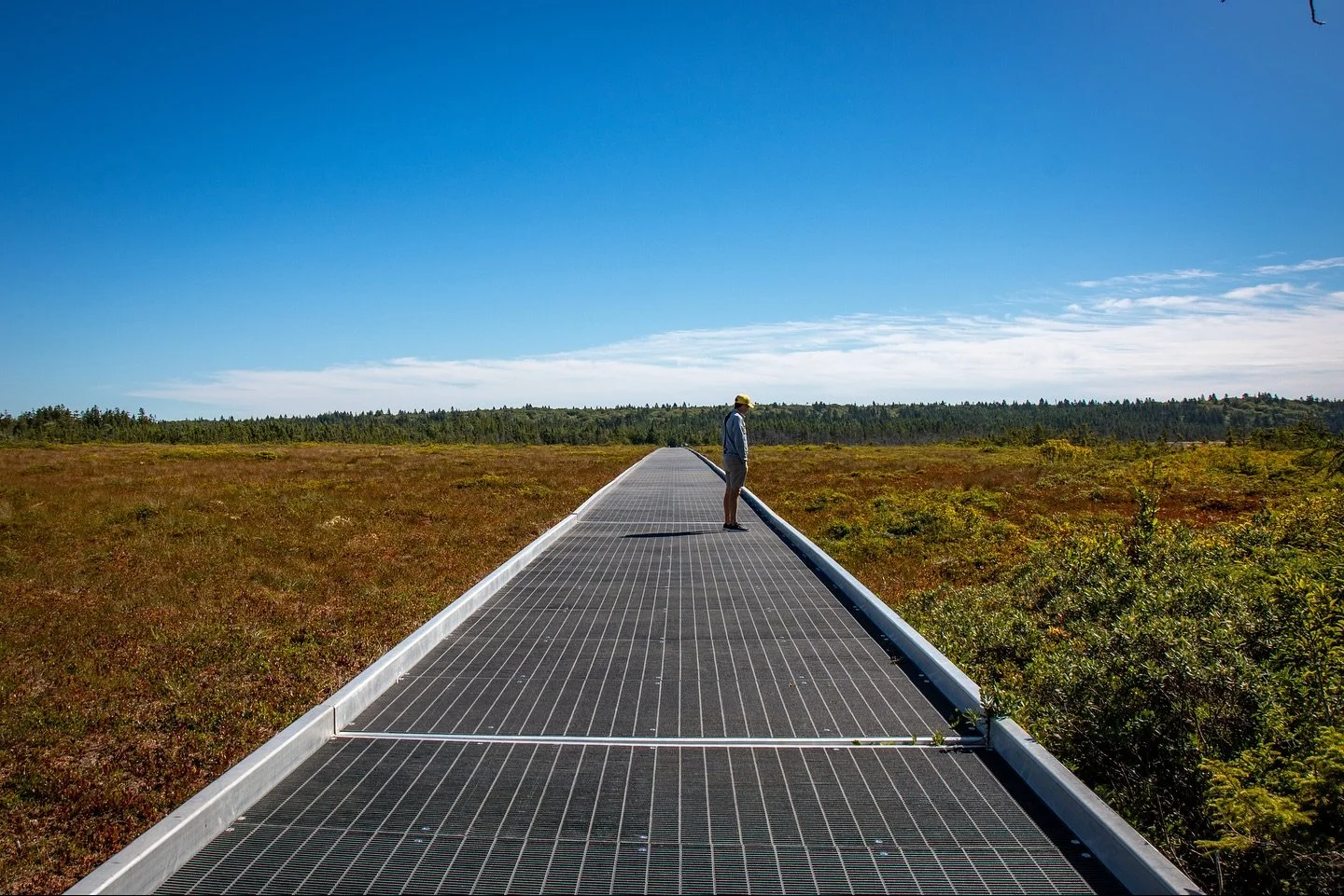 The Friendship Trail, or in Passamaquoddy Witapehtiyik &rsquo;tawtimuwa, is a must-experience 3.5-mile (5.6 km) walking and biking trail featuring more than 1,700 feet (518 m) of floating boardwalk. 🌿✨

This new 2025 addition to Roosevelt Campobello
