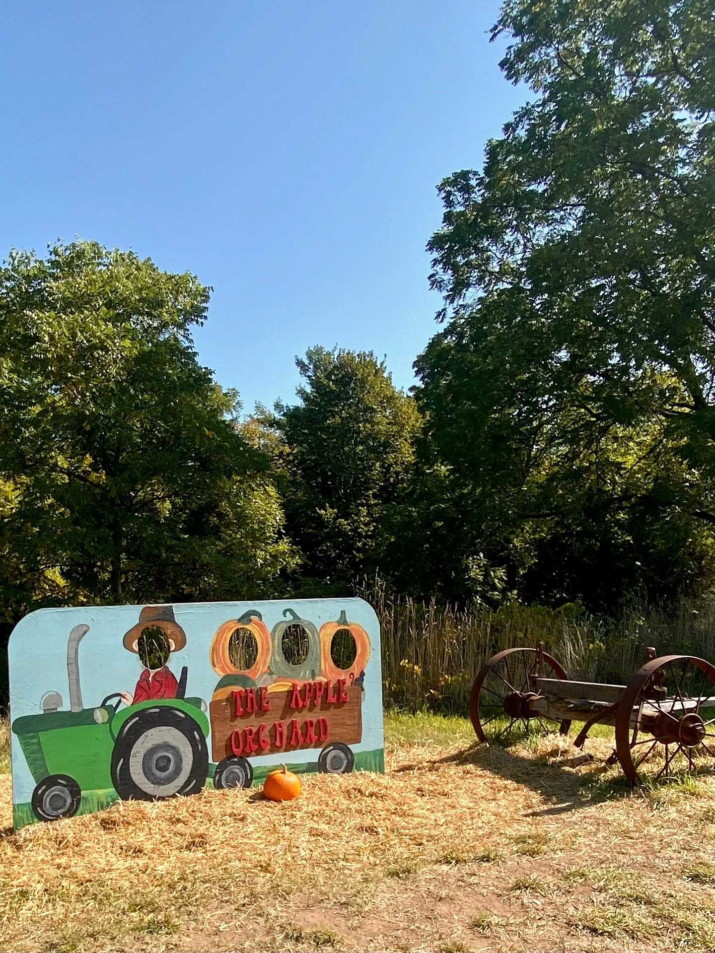 There&rsquo;s nothing like a day of apple picking at @theappleorchard.ca 🍎🍏✨ With so many varieties to choose from &mdash; including some you won&rsquo;t even find in grocery stores &mdash; the trees are bursting with flavour. Add in wagon rides, f