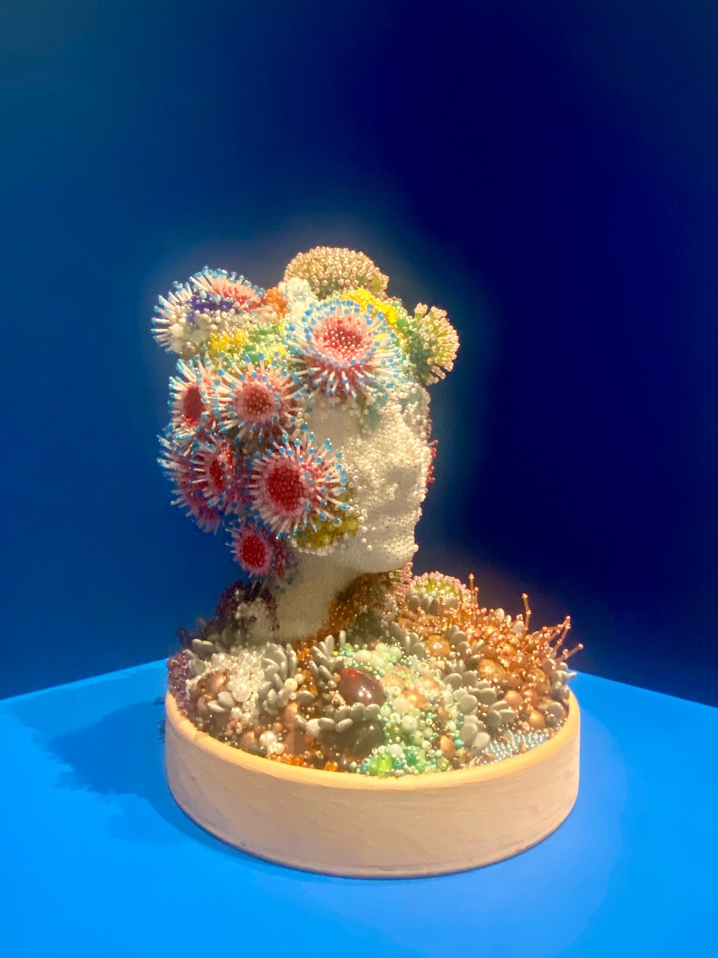 Denise Richard: Trinket ✨Exhibition on at the @beaverbrook_ag until Feb 22, 2026

These colourful, coral-like forms are made from dollar-store trinkets and discarded plastics. Beautiful up close&hellip; unsettling when you realize what they&rsquo;re 