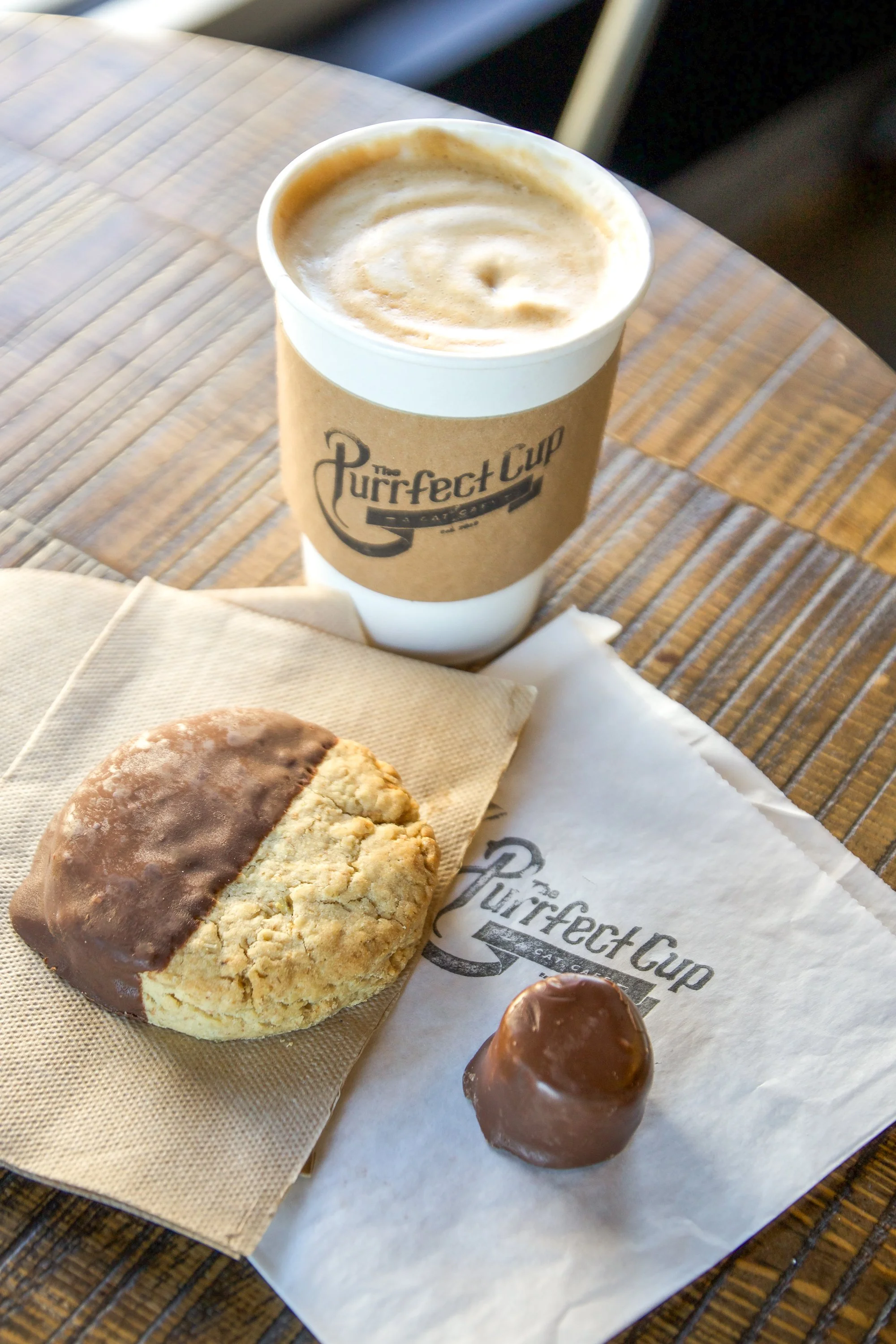 The Purrfect Cup Cat Café