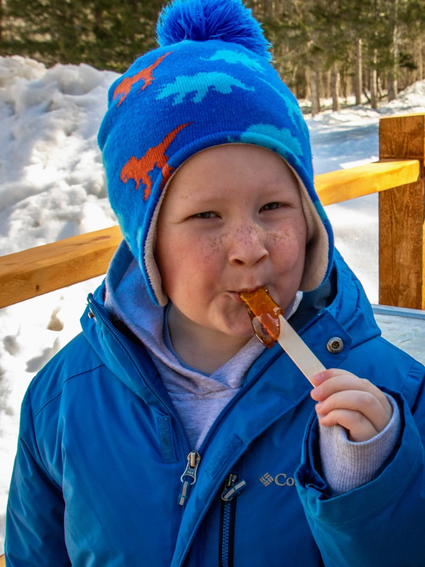 Maple lovers, it&rsquo;s almost time for that annual spring ritual &mdash; Dumfries Maples: Sugarbush and Pancake House will be opening on Feb 28, 2026 for the season! 

Learn more and plan your pilgrimage for fluffy pancakes, fresh maple syrup, mapl
