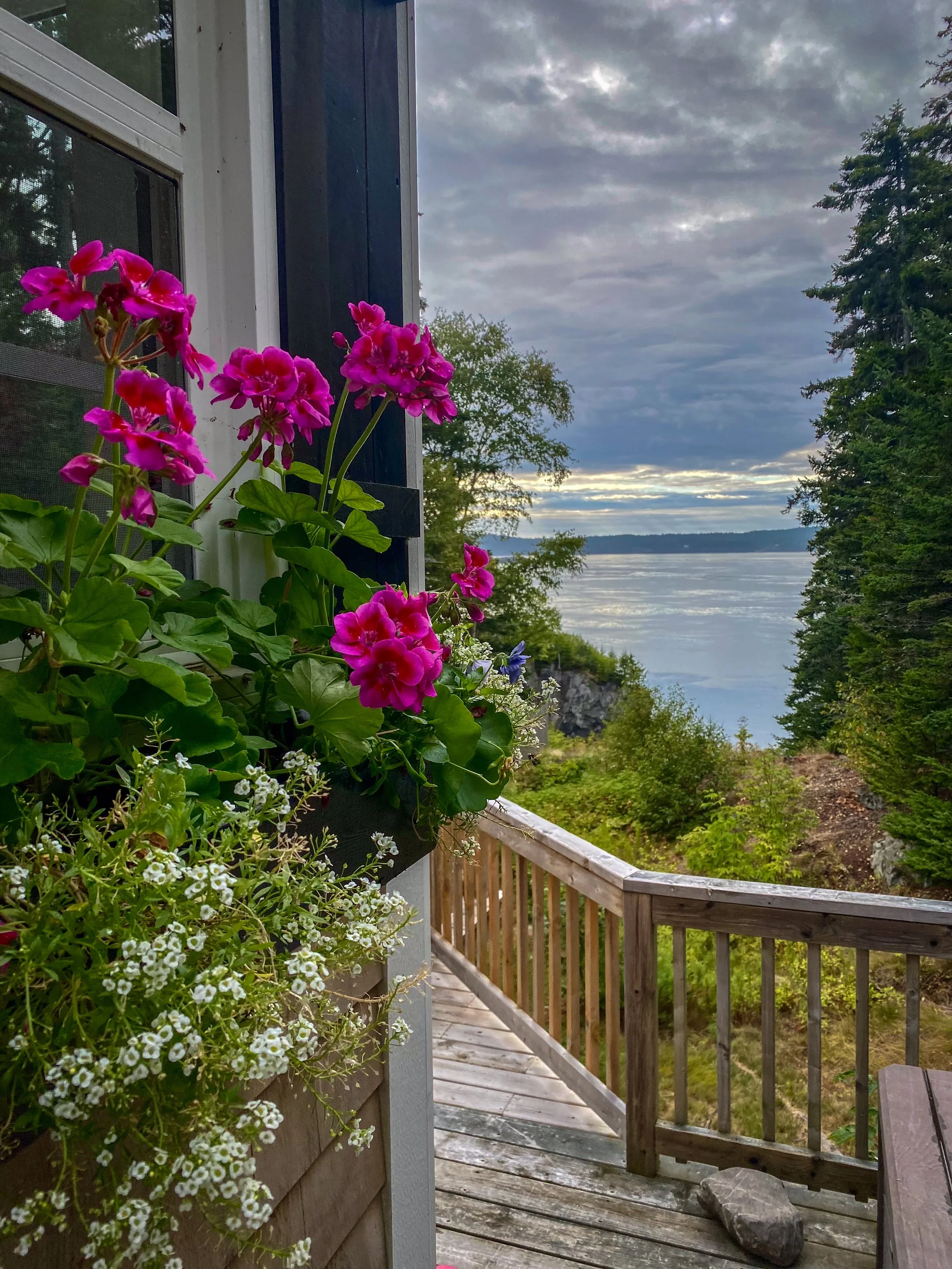Campobello Island Oceanfront Cottages