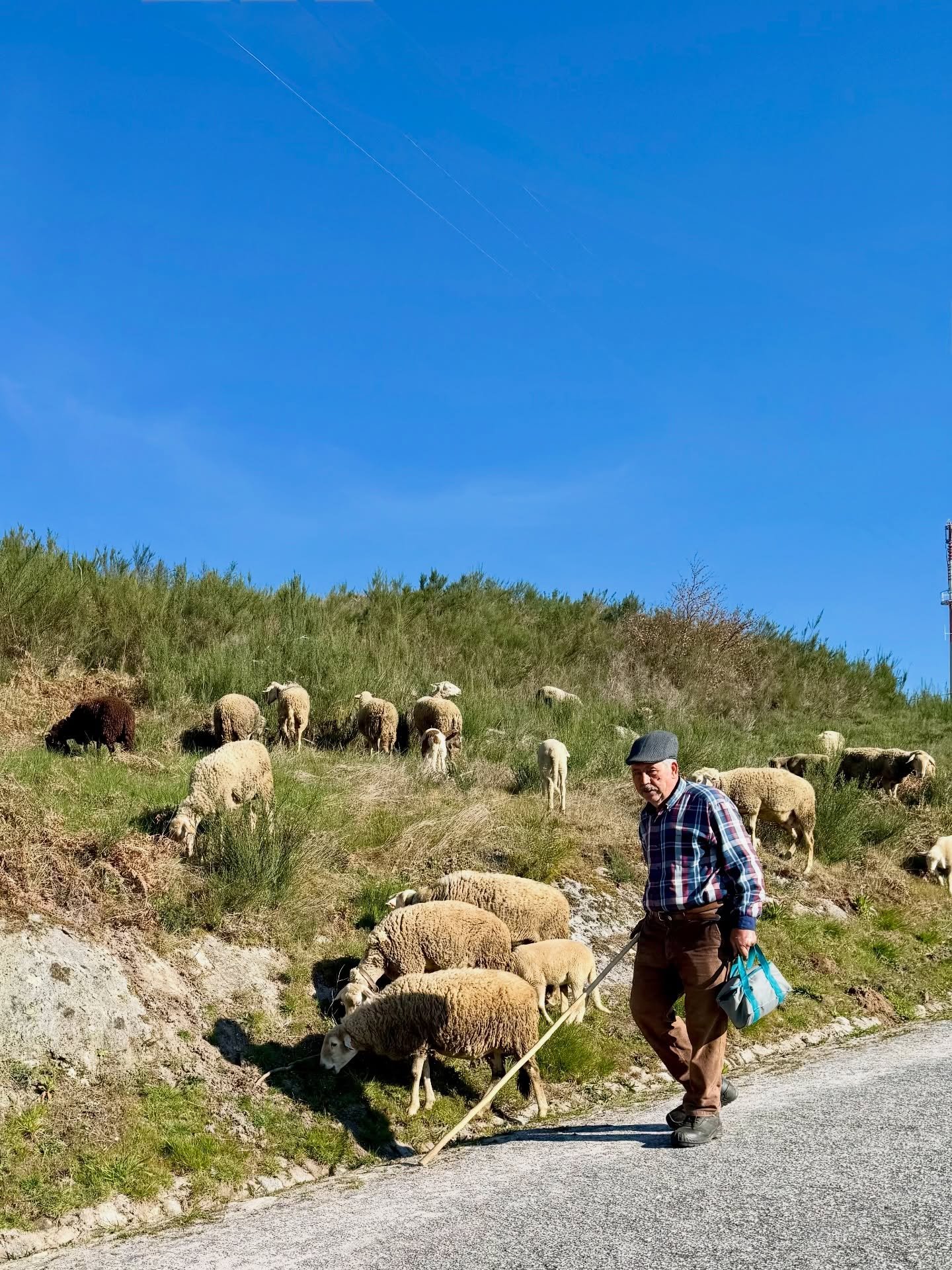 That time we pulled over in Lamego while a sheep herder guided his flock down the road. 

In the Douro Valley, you quickly learn to expect the unexpected&mdash;and that&rsquo;s part of the magic.

Grateful for the journey &mdash; both home &amp; away