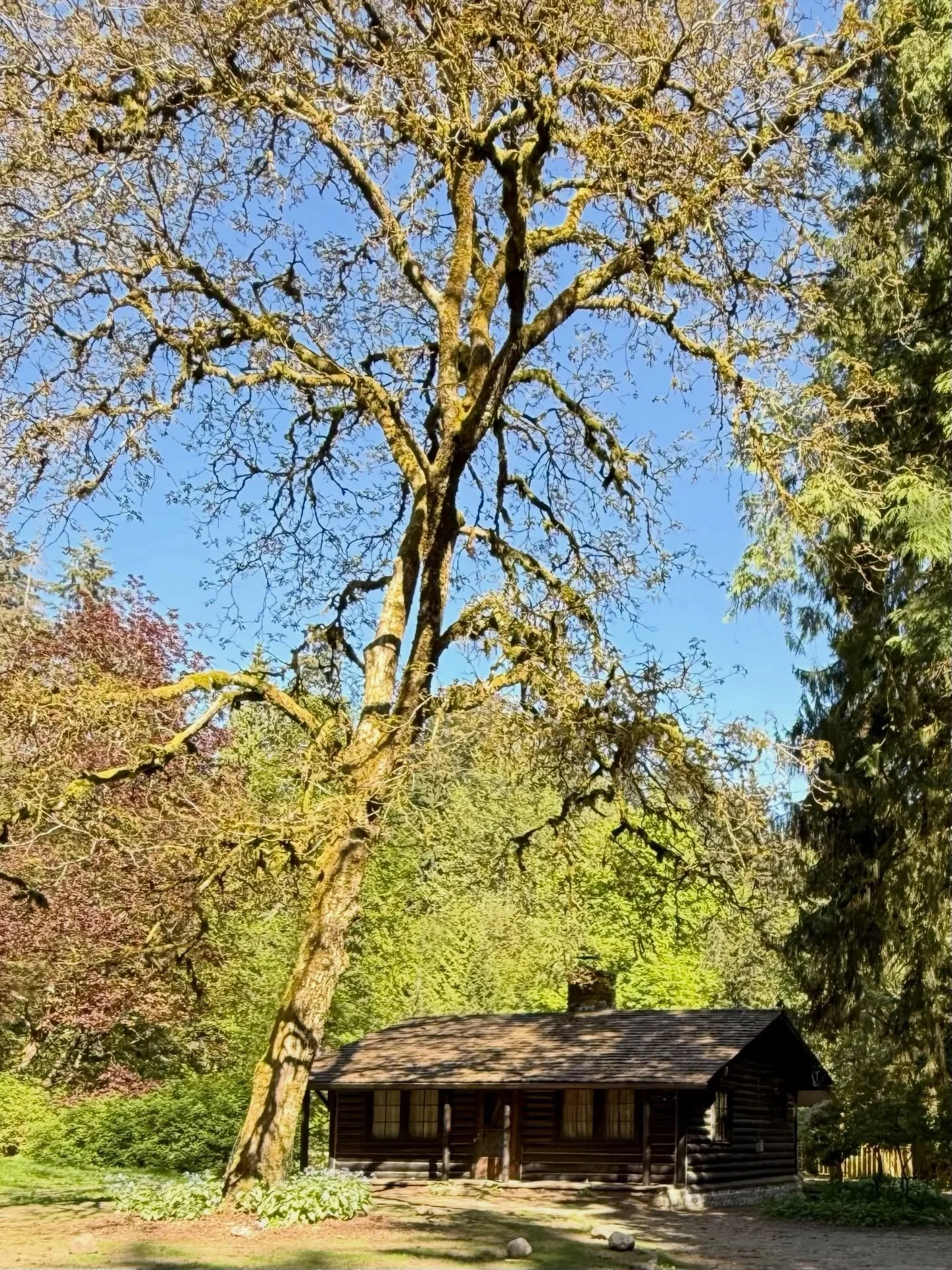 Another unforgettable stop on our @cineventure_ca adventure during the post-@travelmediaca FAM Tour brought us to the cozy cabin known to millions of fans as Mel&rsquo;s home from @netflixca &lsquo;s @virginriverseries &mdash; tucked away in the peac