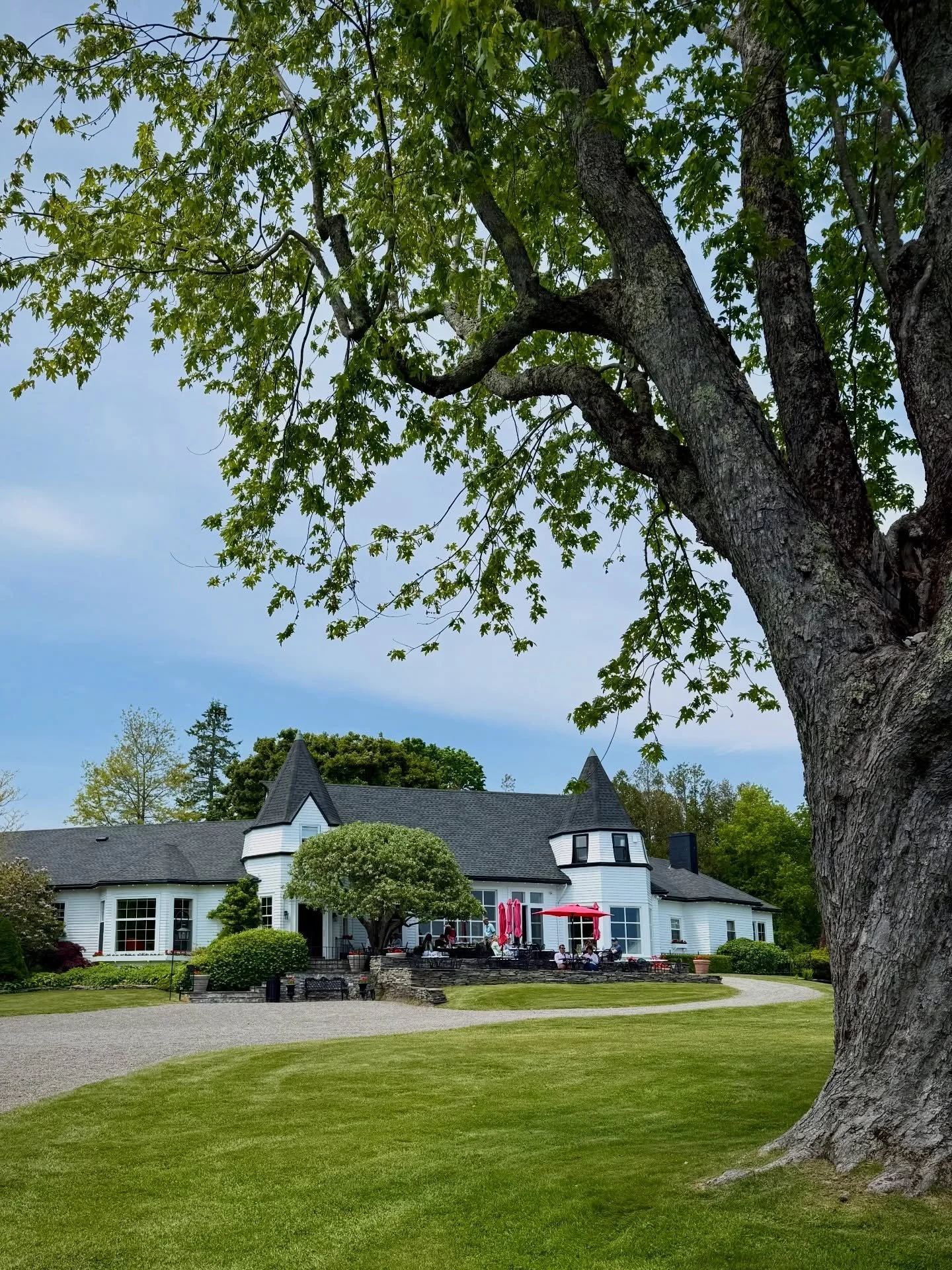 🥗🌿 Lunch at Sage at @kingsbraegarden was a big two thumbs up.

Eric ordered the flavourful Southwest Turkey Club, while I enjoyed the generous Cobb Salad with added grilled shrimp. Fresh, beautifully prepared, and packed with local flavour.

If you