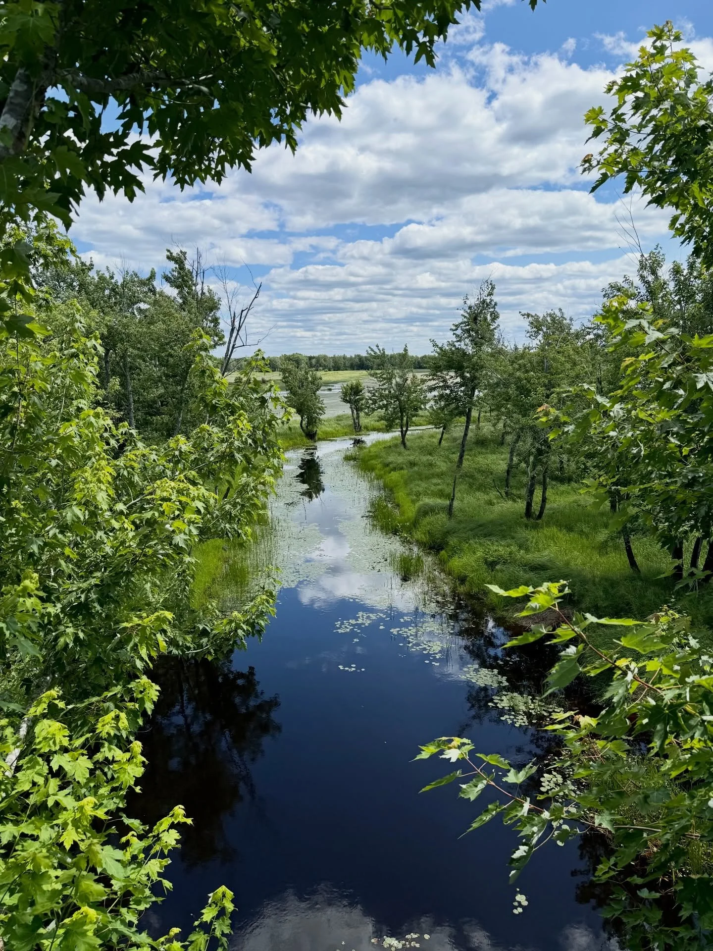 Summer is a spectacular time to explore Hanson Nature Preserve at French Lake, just outside Fredericton. 🌿

This remarkable 400-acre nature preserve is a peaceful blend of lush forests, wetlands, ponds, and scenic walking trails where every turn off