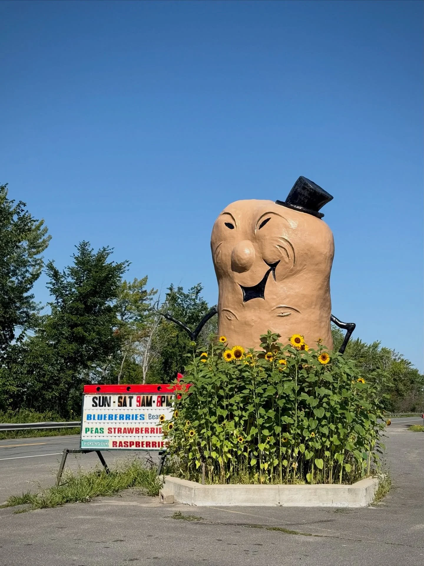 I&rsquo;m getting a few little fall vibes lately. Are you? 🌻🥔

But I&rsquo;m not quite ready to let go of summer yet! August is still very much for sunshine, fresh garden produce and roadside stops like this one at Harvey&rsquo;s Big Potato in Maug