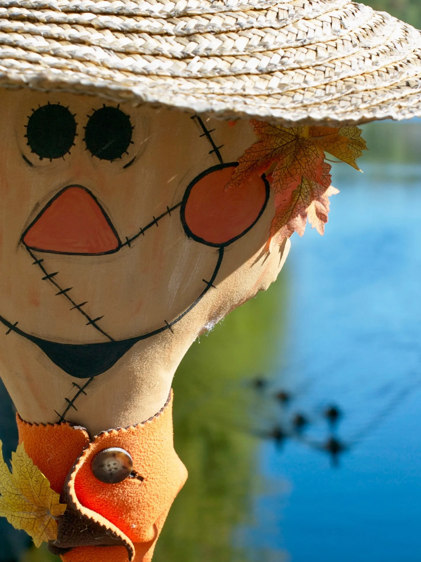 Fall has a way of bringing out the playful side of this charming South Shore Nova Scotia town. 🎃🍂 

The Mahone Bay Scarecrow Festival returns September 25 to October 12, 2026, filling the streets with life-sized scarecrows that range from tradition