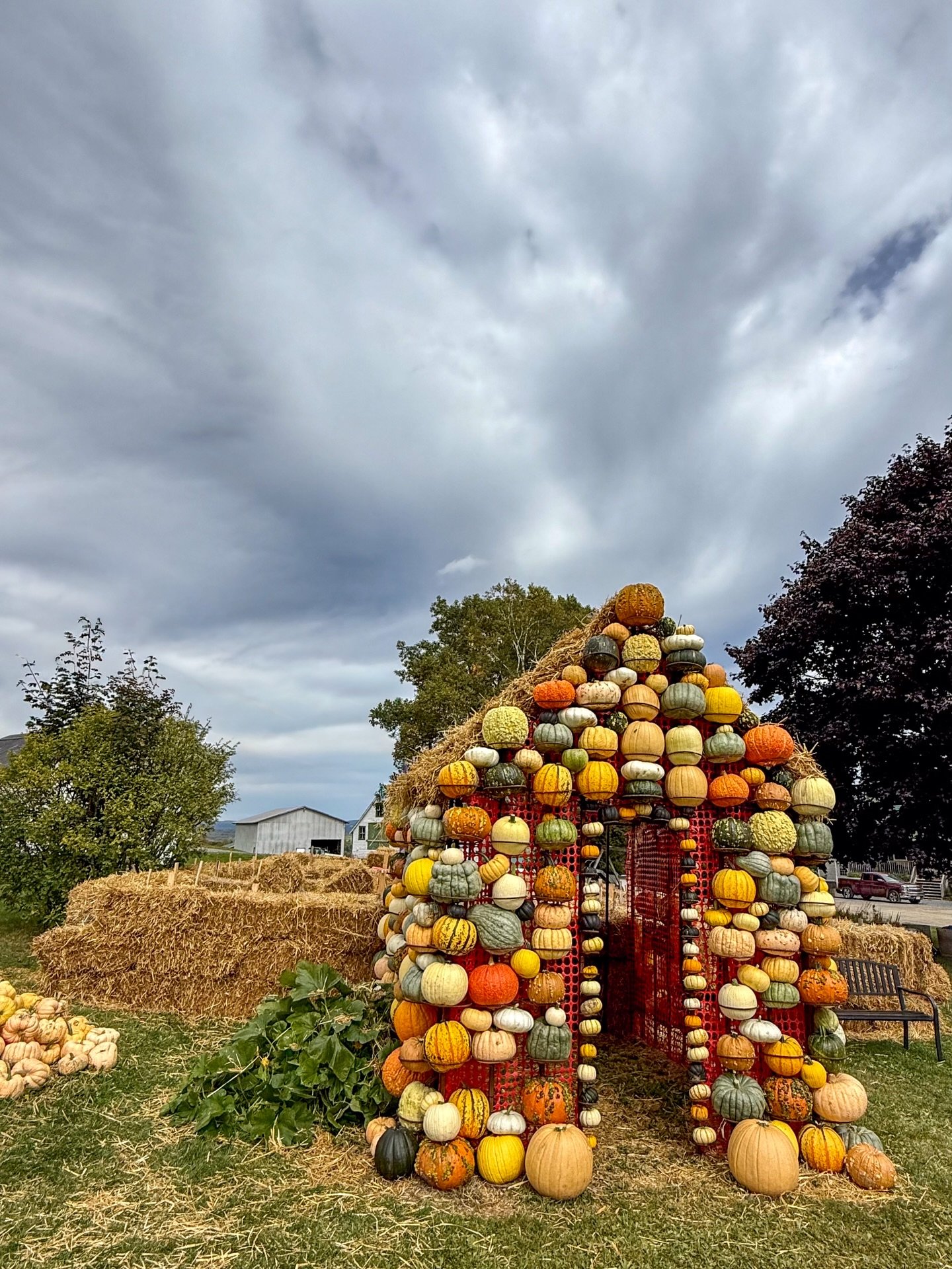 🎃 A little pumpkin house in the middle of the patch? How cute is this?

Coburn&rsquo;s Farms in Keswick, NB, was bustling with families enjoying the pumpkin patch when I visited, with little ones choosing pumpkins, wandering through the mini maze an