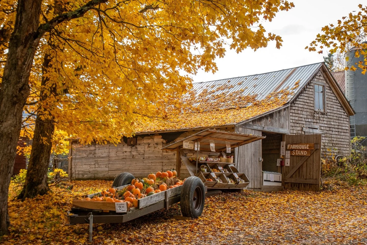 The October sun filled the world with mellow warmth&hellip; 

This is one of my favourite months. 🍎🎃🍂 How about you?

There&rsquo;s so much to love: the changing leaves, crisp apples, pumpkins, warm drinks and afternoon walks in the glow of it all