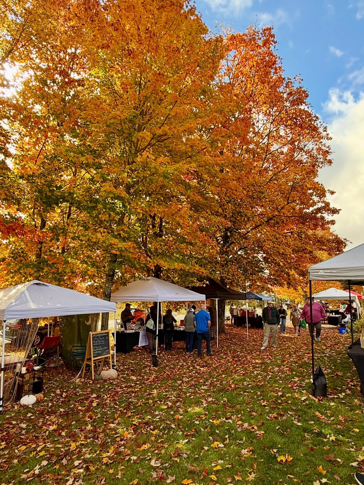 Autumn 🍂 means 🎃 fall events, harvest markets and plenty of reasons to get out and enjoy the colour&mdash;and the Fredericton Capital Region has lots happening this time of year!

I set out for a glorious fall leaf-peeping drive to @crabbemountaini