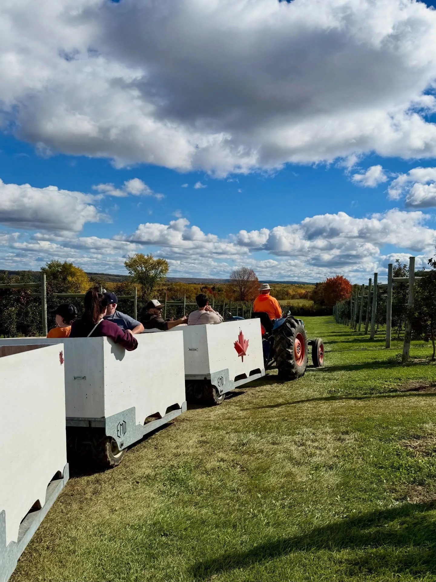Meet Laughing Apple Farm! 🍎🎃🍂

Established in 2019, this family-run 13-acre orchard in Scotch Settlement has been growing Honeycrisp and Ambrosia apples&mdash;and building a pretty fun fall destination just minutes from Mactaquac.

This was my fir