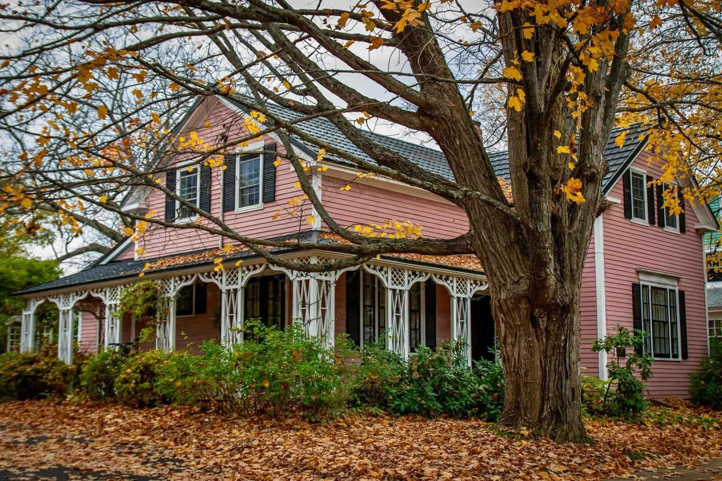 &ldquo;And the sun took a step back, the leaves lulled themselves to sleep and autumn was awakened.&rdquo;

📍 Fredericton, New Brunswick

#maritimesmaven #frederictonnb #newbrunswickcanada #autumnvibes🍁 #autumnmood