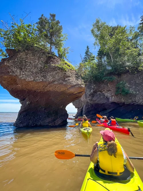 Google Maps Hopewell Rocks