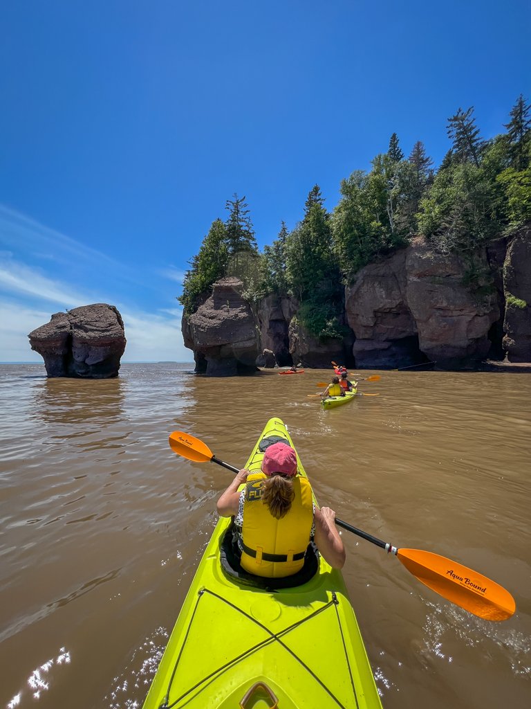 Tours  Bay of Fundy Adventures