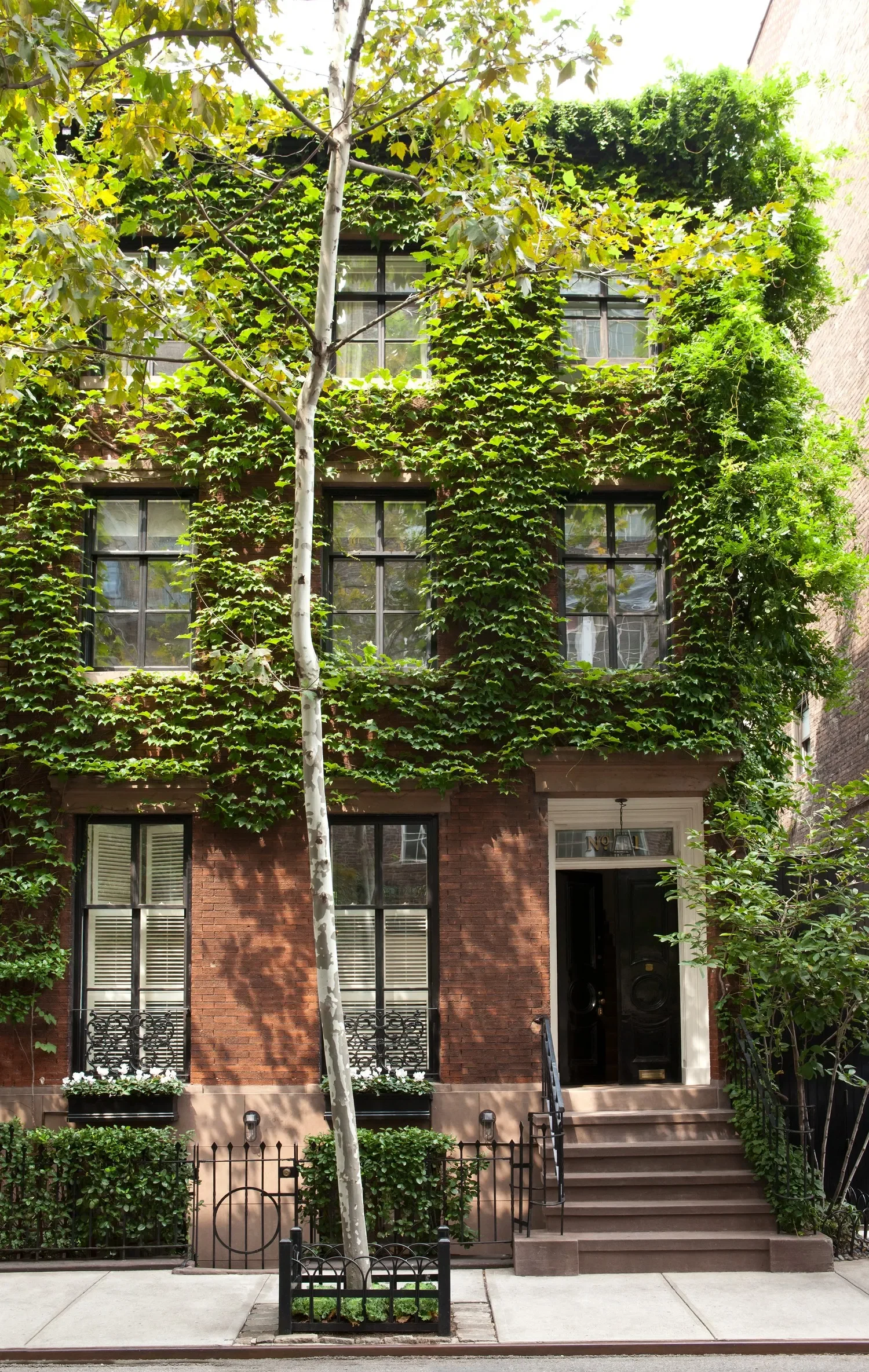 A brick residential building covered with green ivy, with large multi-pane windows. A tree with a white trunk is in front, and small front yard with a black metal fence surrounds the building. The entrance has a small staircase with black railings.