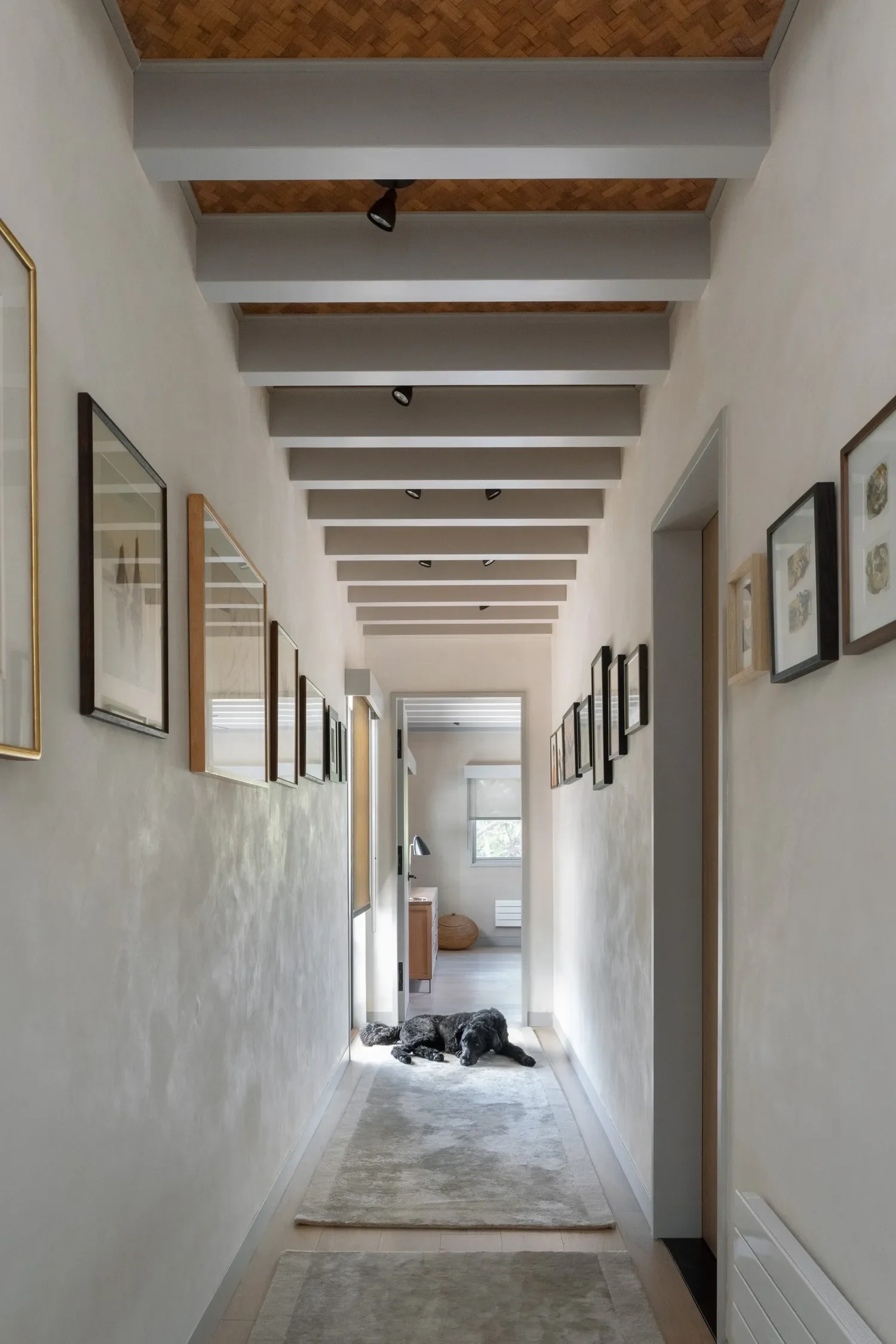 A hallway in a house with framed art on the walls, a row of ceiling lights, and a gray dog lying on a beige runner rug near a sunlit room at the end of the hall, featuring a window and a small table.
