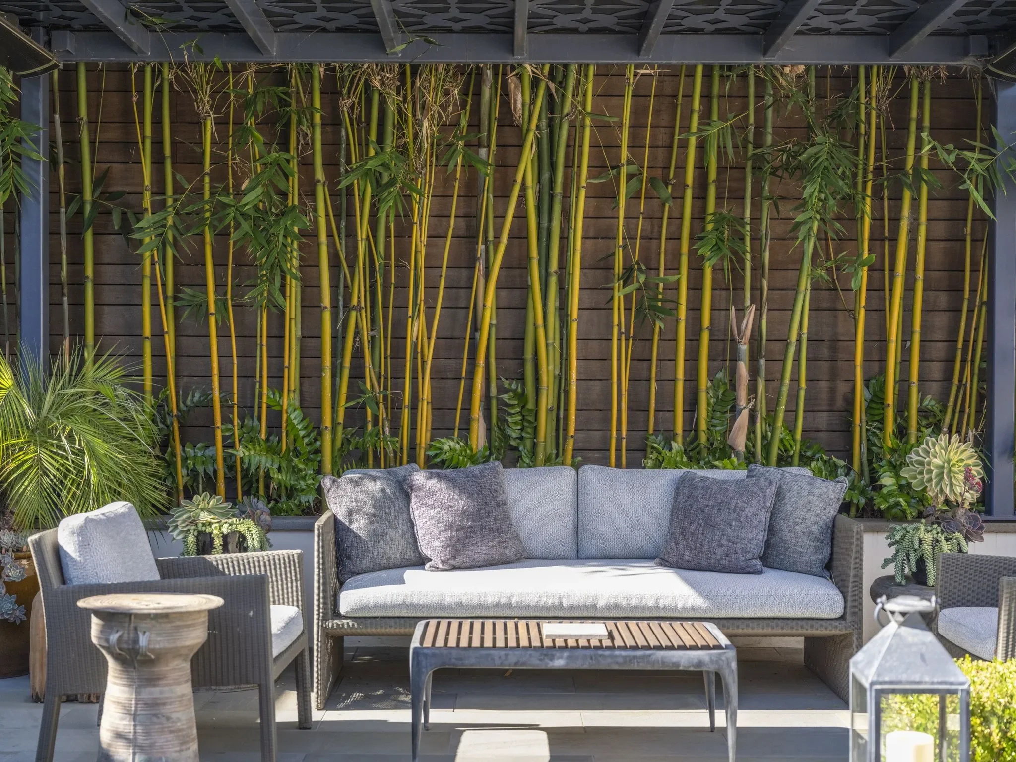 An outdoor patio area with a gray outdoor sofa, gray pillows, and decorative plants including succulents and leafy greenery. Behind the seating is a wooden privacy fence and a bamboo garden wall, with a black metal framework overhead.