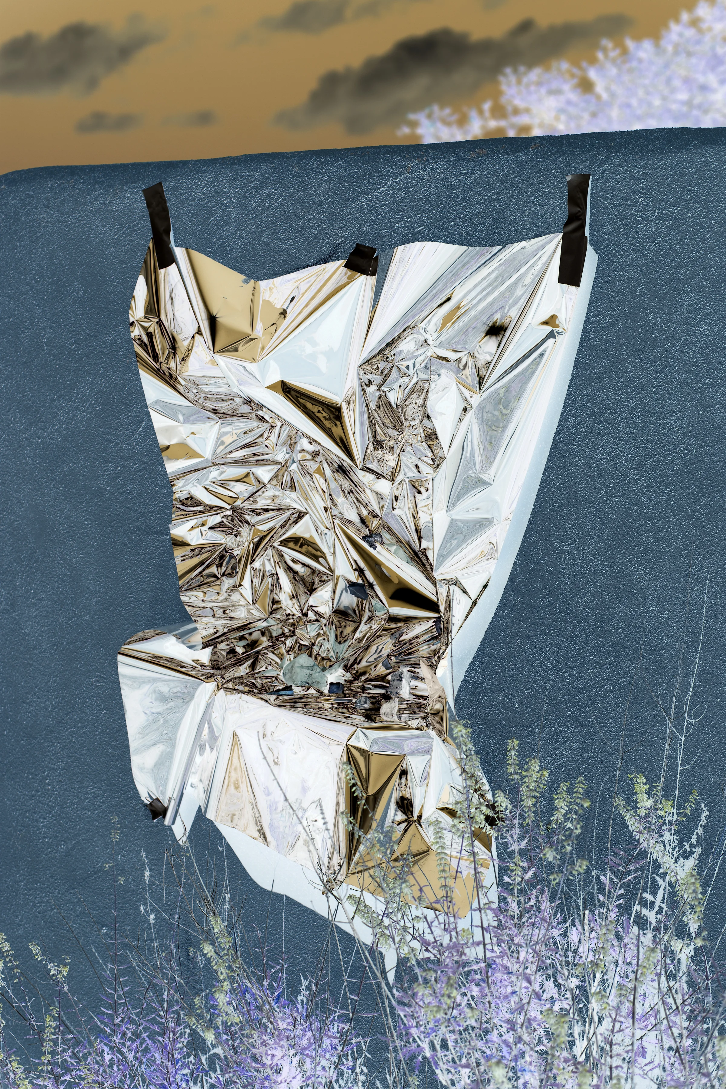 Emily_Mason_backyard_still_life_10.jpg