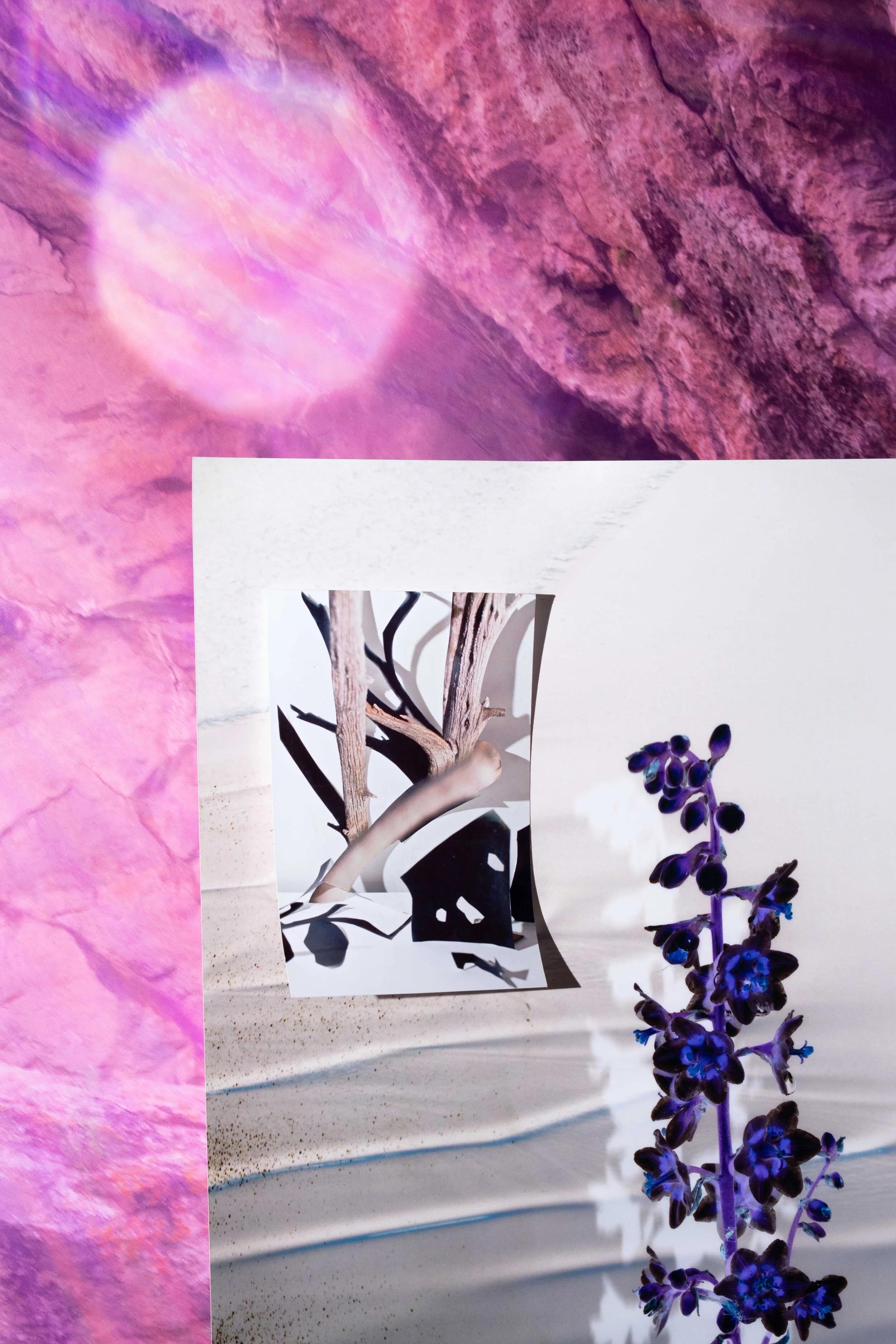 untitled-1.jpg