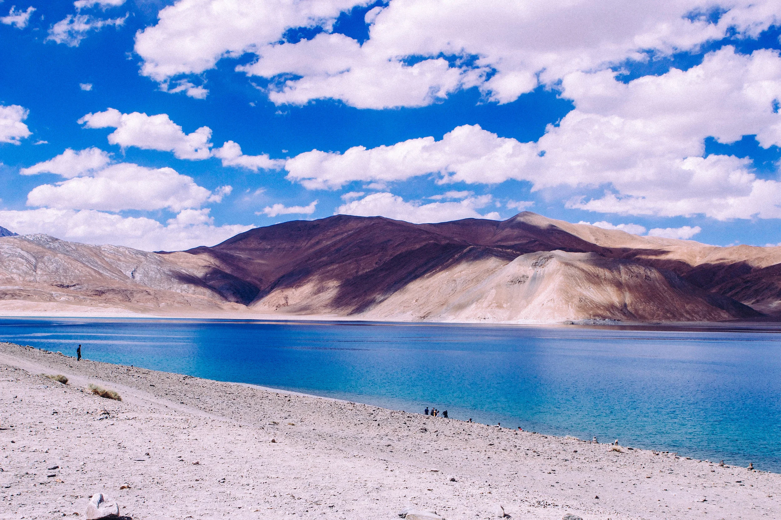 Medium Kite-2-10.jpg