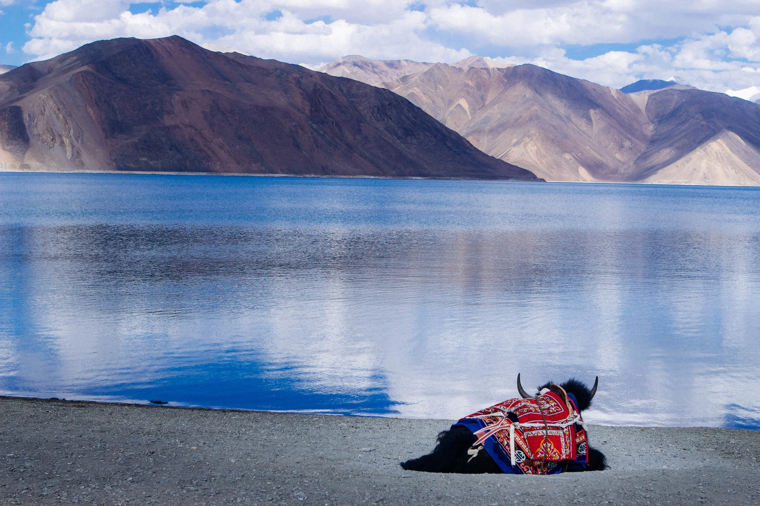 Medium Kite-2-11.jpg