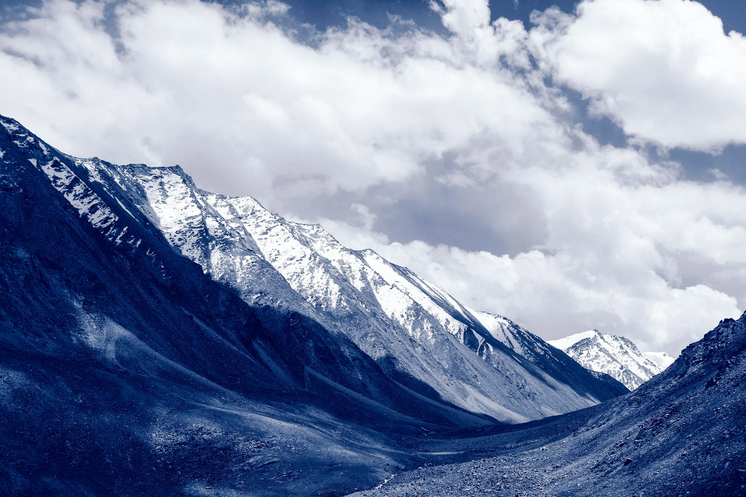 Medium Kite-7697.jpg