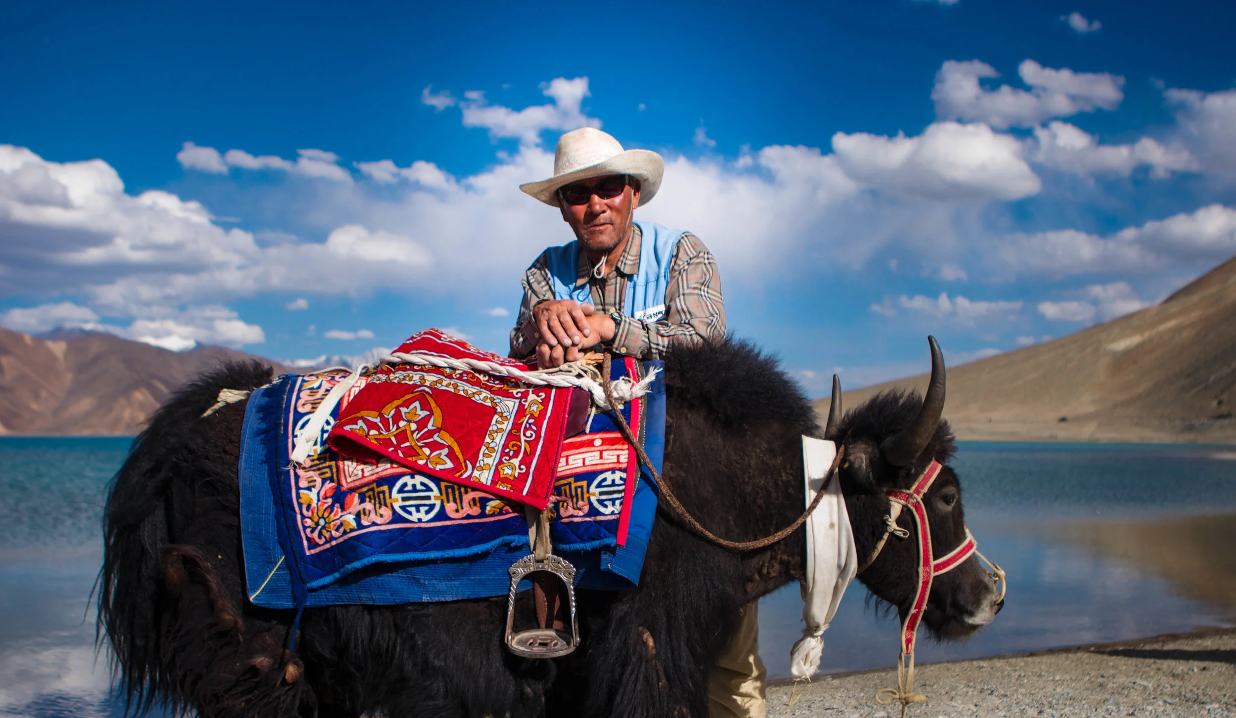 Medium Kite-7908.jpg