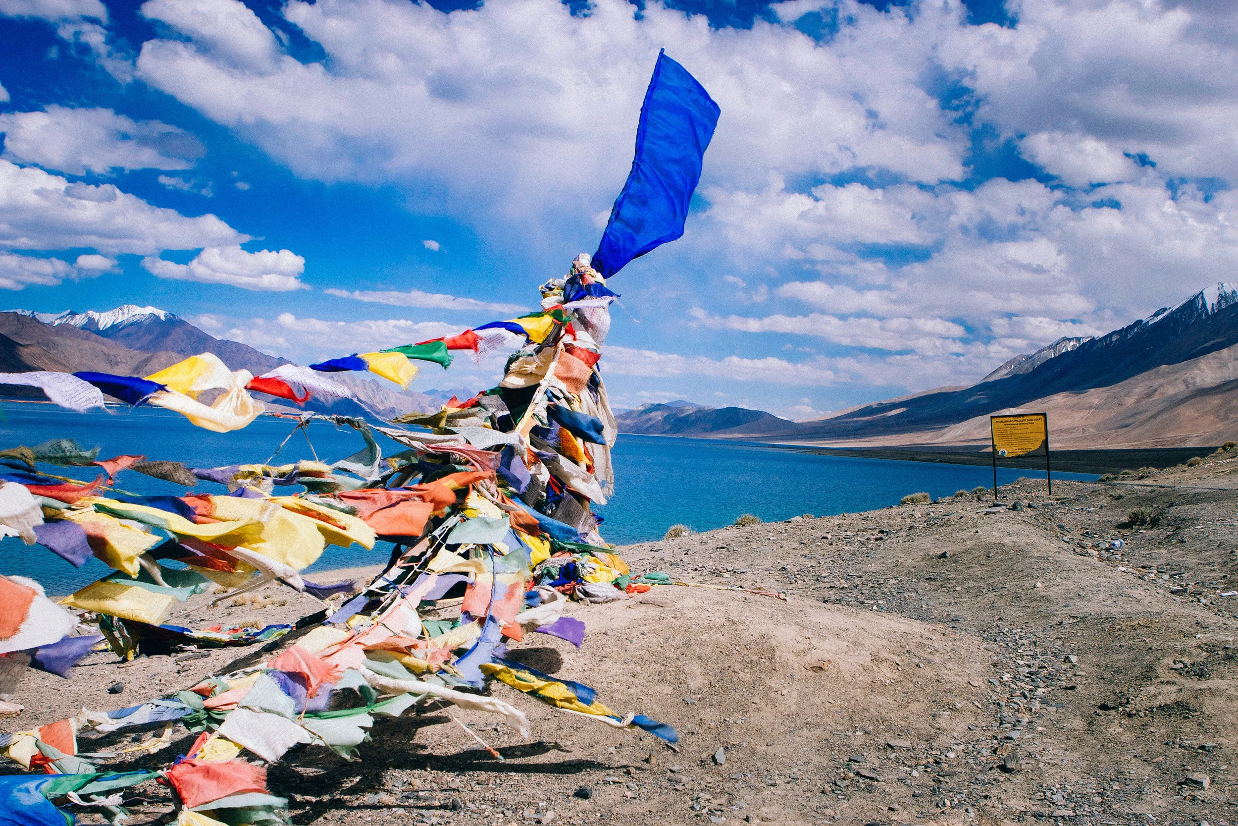 Medium Kite-7772.jpg