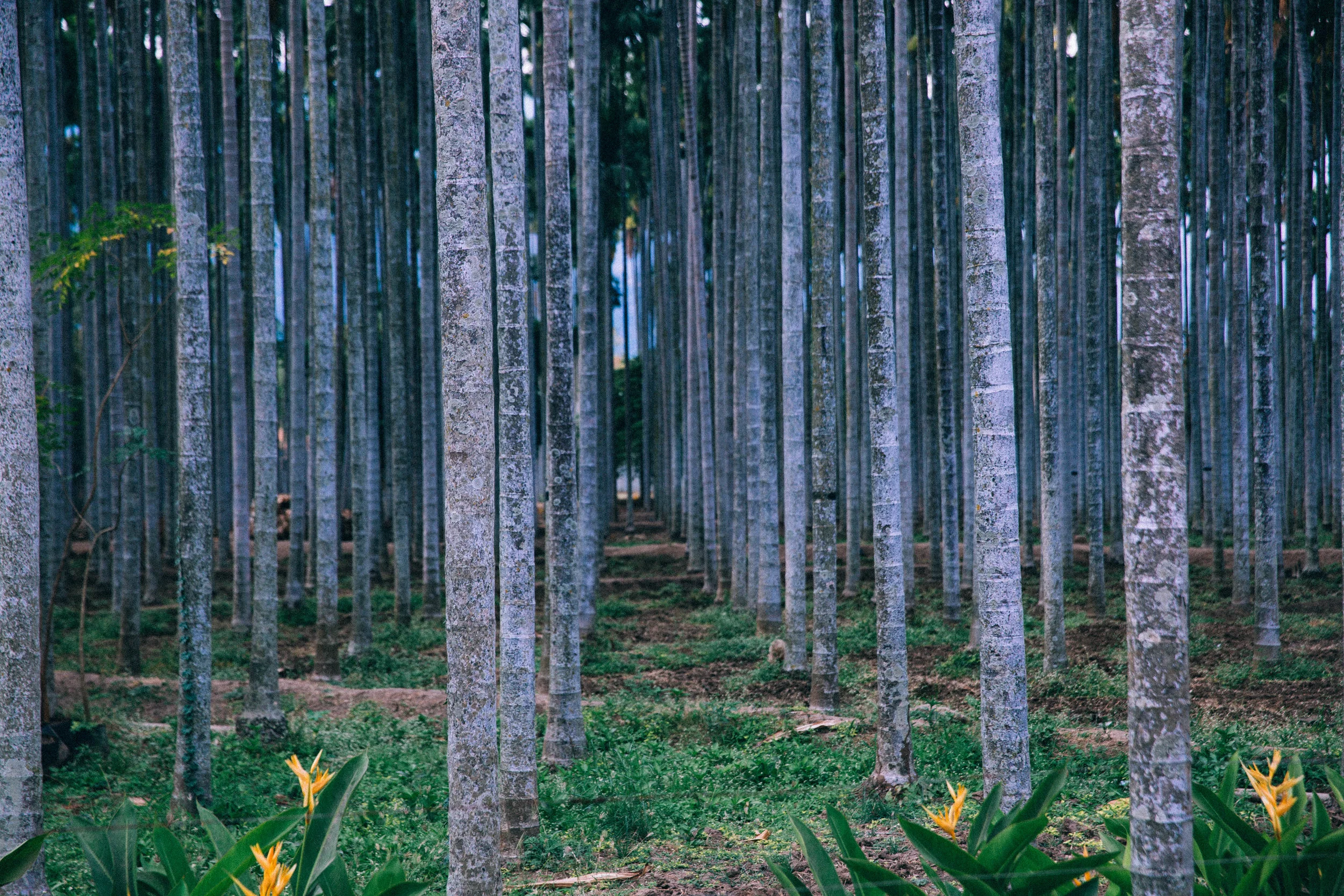 Coimbatore-2.jpg