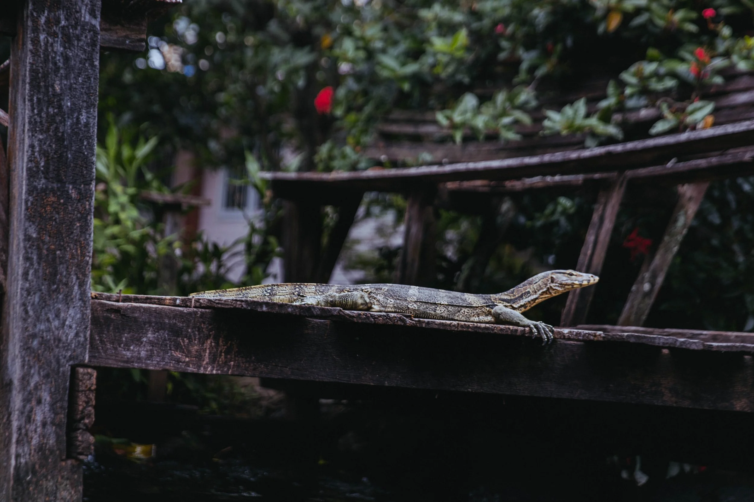 Bangkok LR Edited-19.jpg