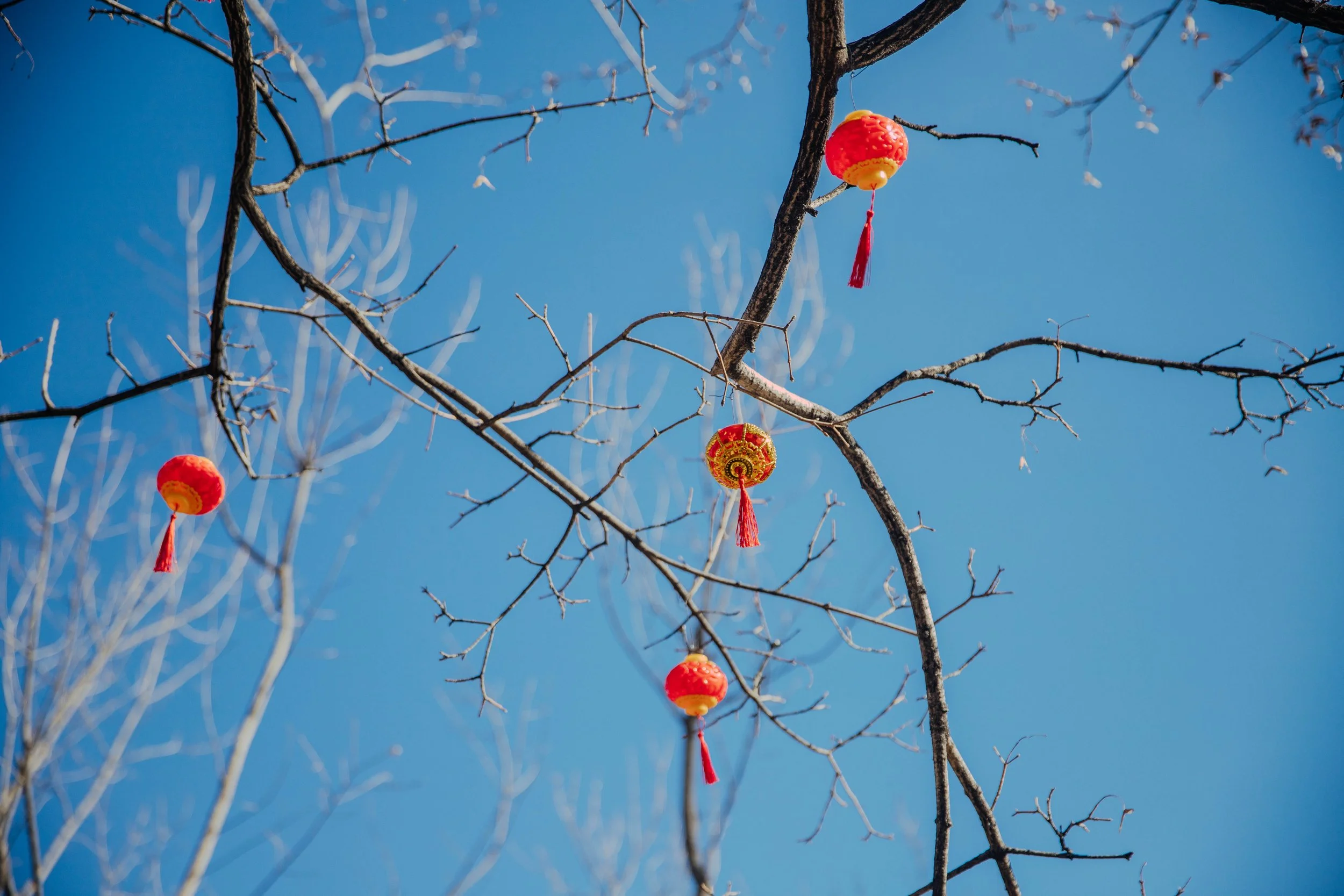 BEIJING25-6.jpg