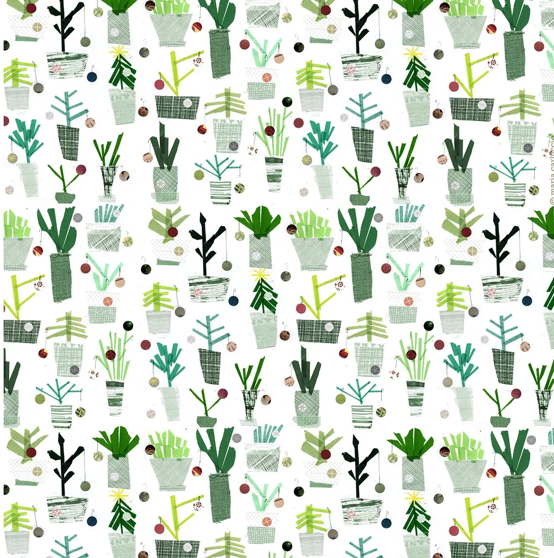Christmas Cactus