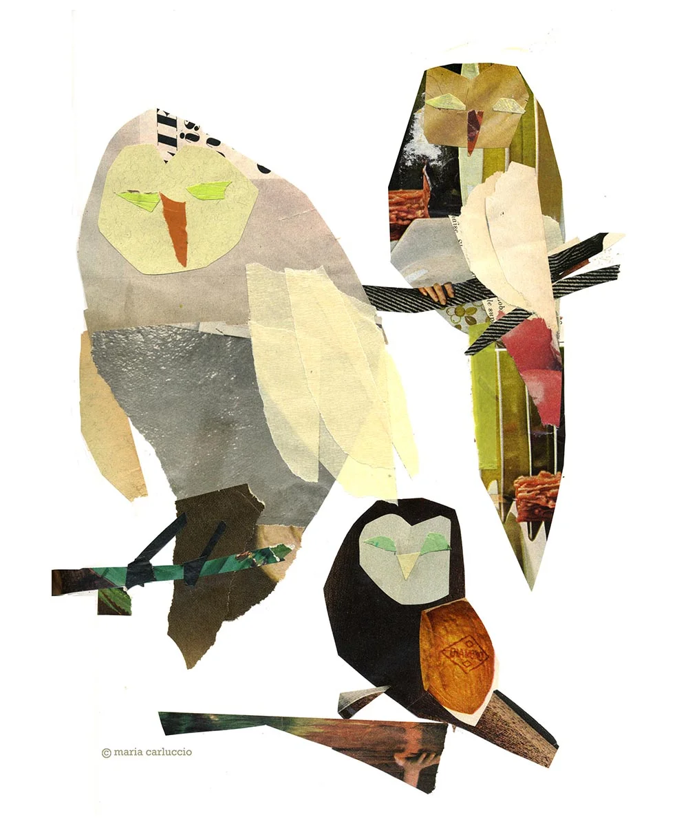 3 owls_100.jpg
