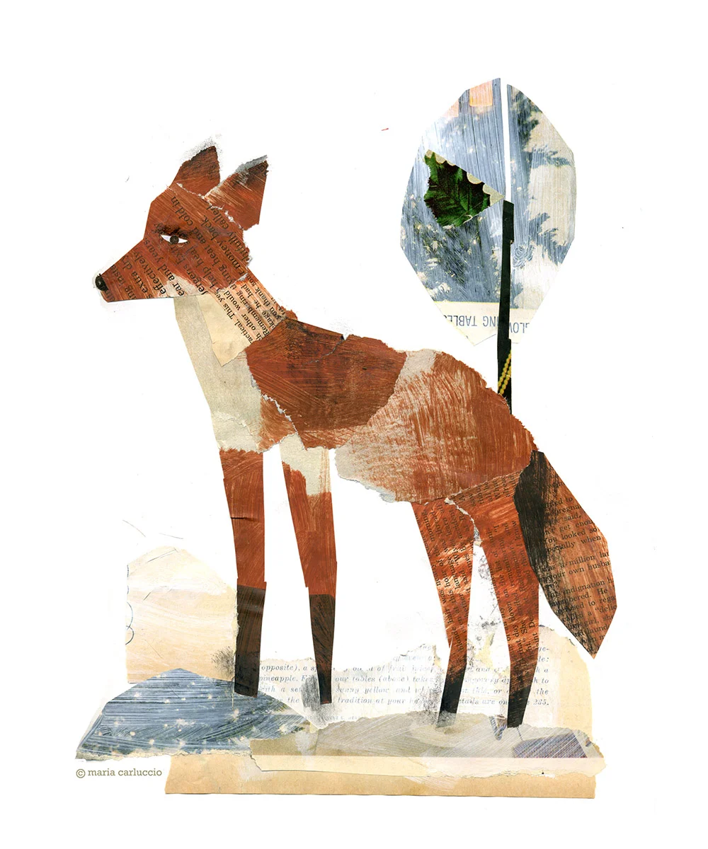 fox_100.jpg