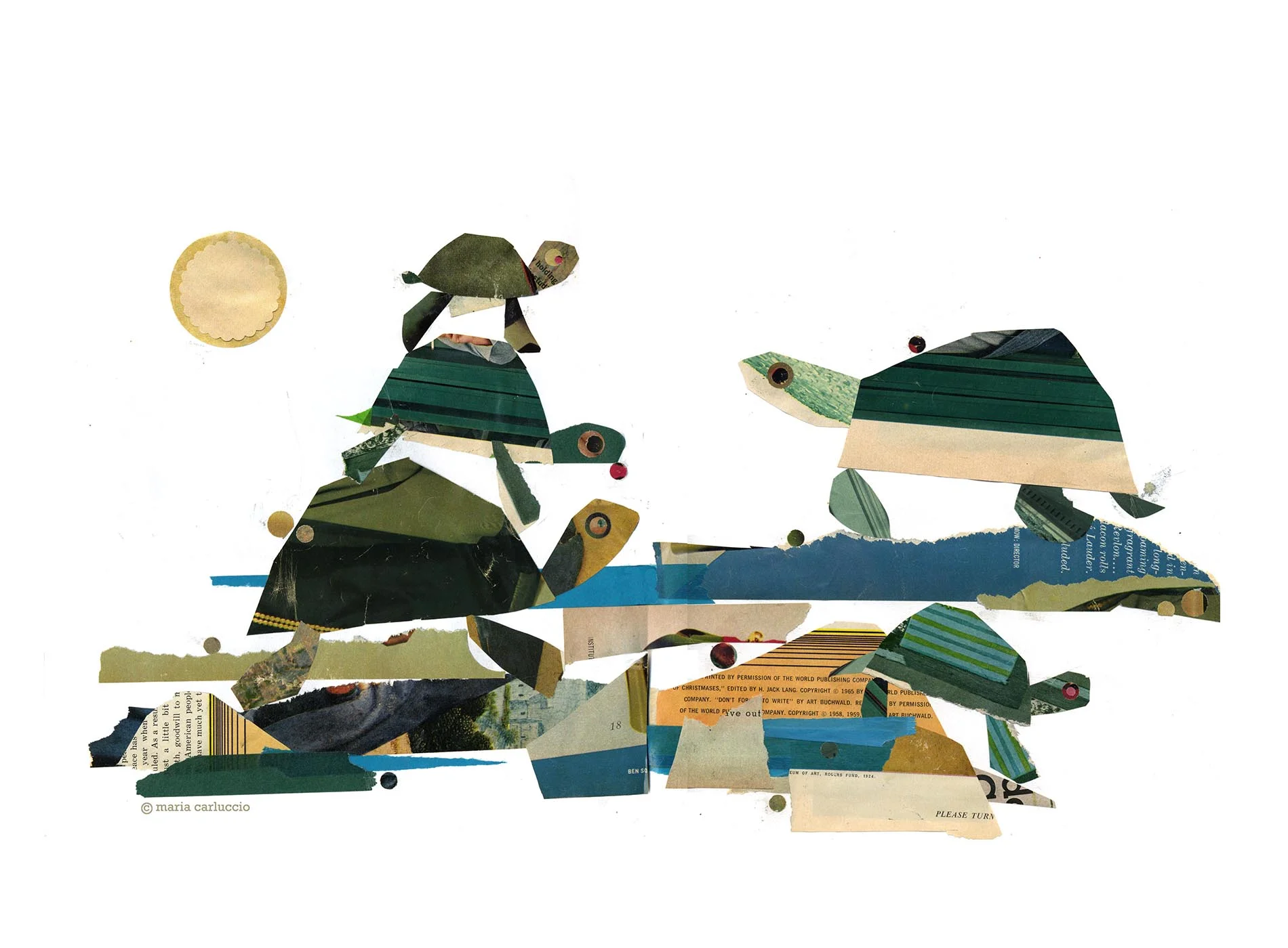 turtels_100.jpg