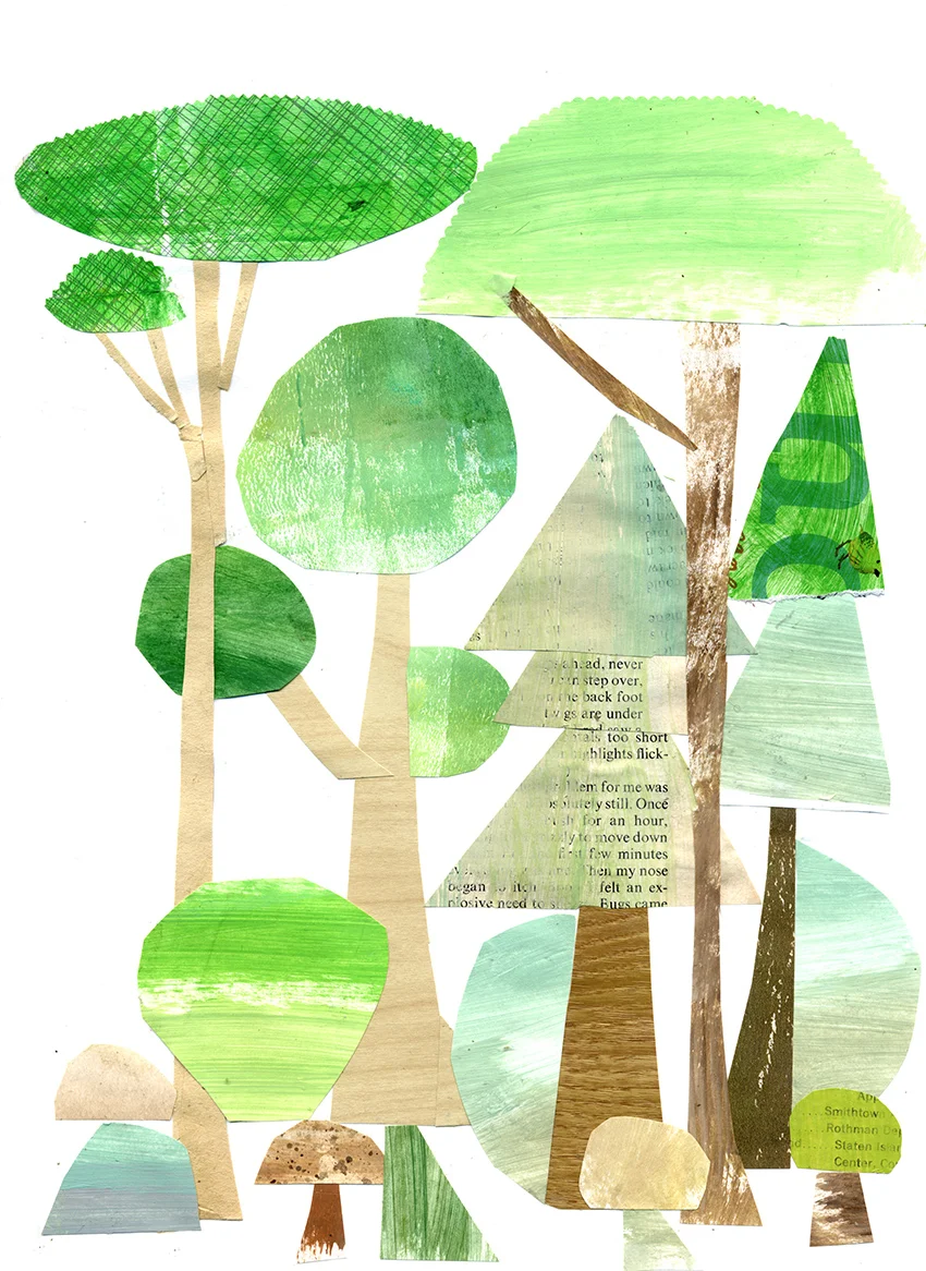45 trees and mushrooms_100.jpg