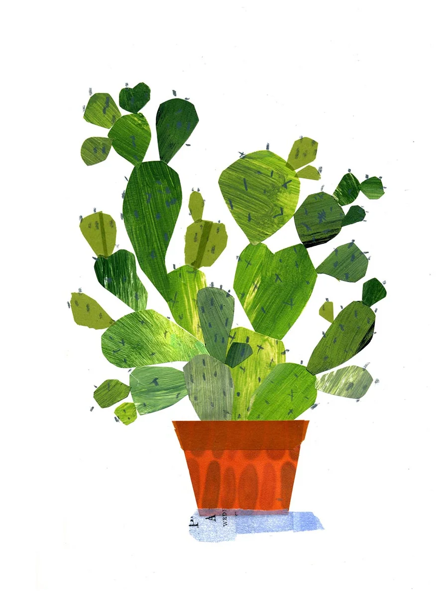 29 cactus_100.jpg