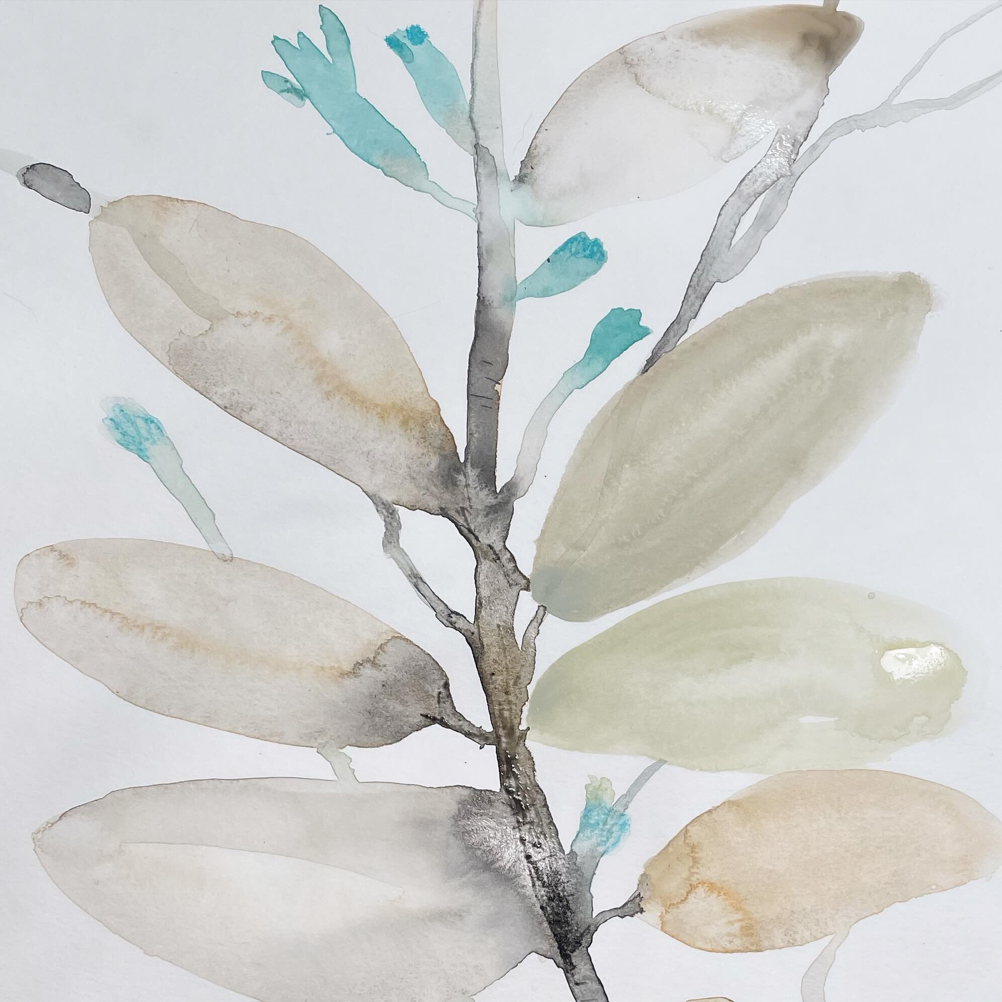 Today&rsquo;s post: budding. Spring is beckoning.
#floral #flowers #springbuds #buds #budding #buddingflowers #simplefloral #florals #watercolorflowers #flowersofinstagram #flowerpainting #simplebuds #bluebuds #leaves #watercolors #watercolorart #wat