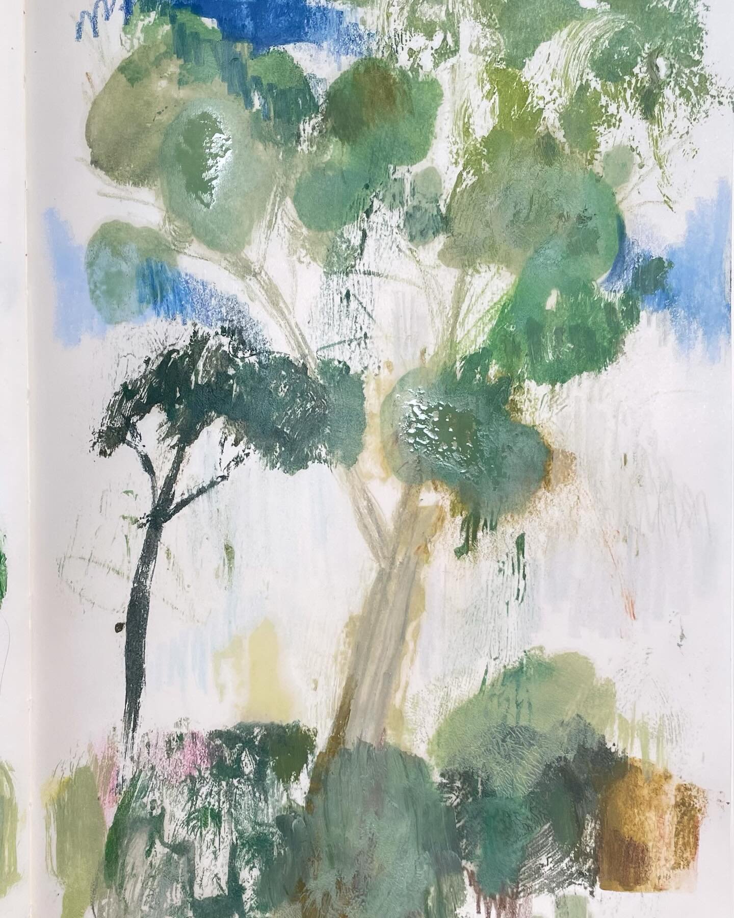Today&rsquo;s post: tree study with oils&hellip;and cat (swipe). Playing with the 2 sides, to do a kind of &ldquo;printing impression&rdquo; technique. 
#treestudy #trees #oilpaint #sketchbook #mockprint #naturestudy