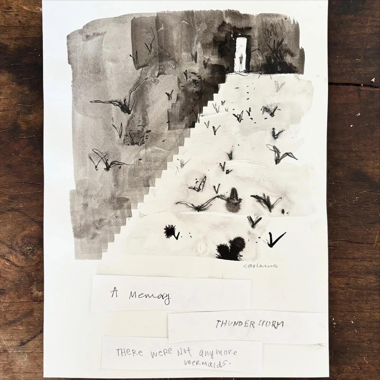 Is there a story here? I thought I’d share a series of images I was working on at Milkwood this past summer. I love this idea of flushing out seemingly random images and seeing if there’s a thread that connects them. Sequencing is an inte