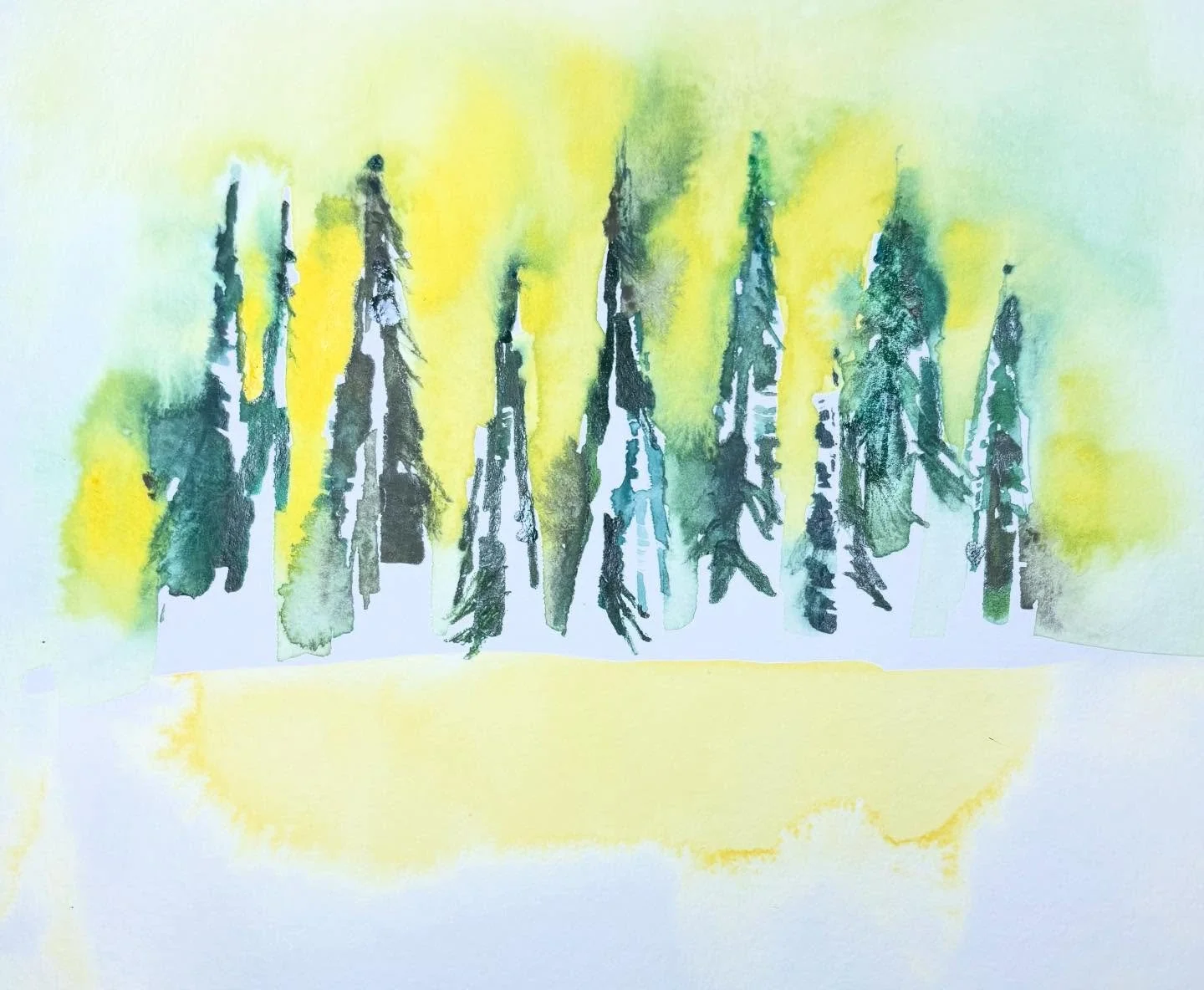 Winter Sunday.
#winter #sun #sunshine #sunny #pines #wintersun @cbssundaymorning #sunrise #herecomesthesun #yellowsun