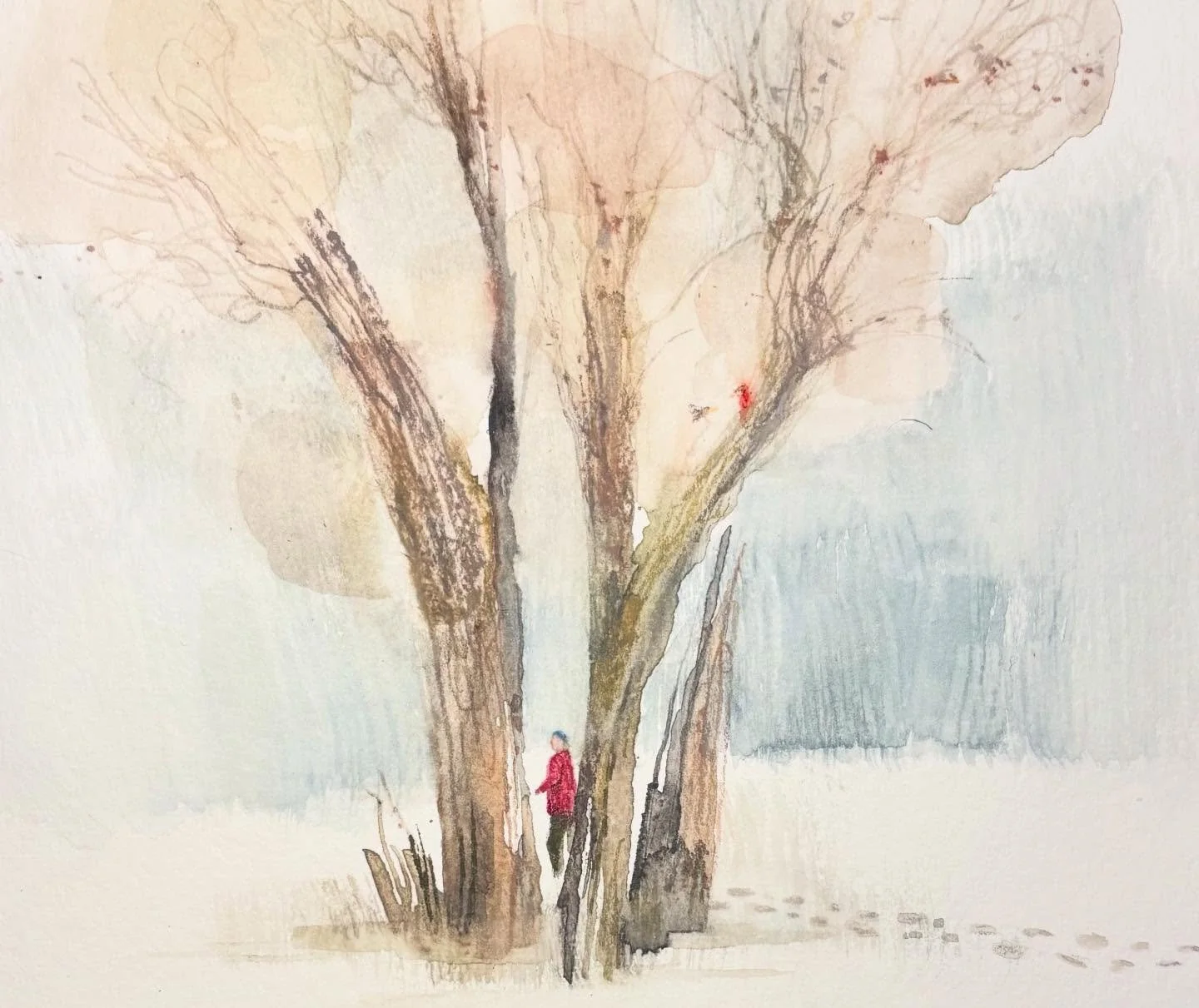 Winter walk. I always think that cardinals a good omen. Could be pop of the red. Either way, walking in winter is about watching for the little things on the white page. 
#winter #winterwhite #whitepage #winterwalk #betweentrees #footprints #footprin